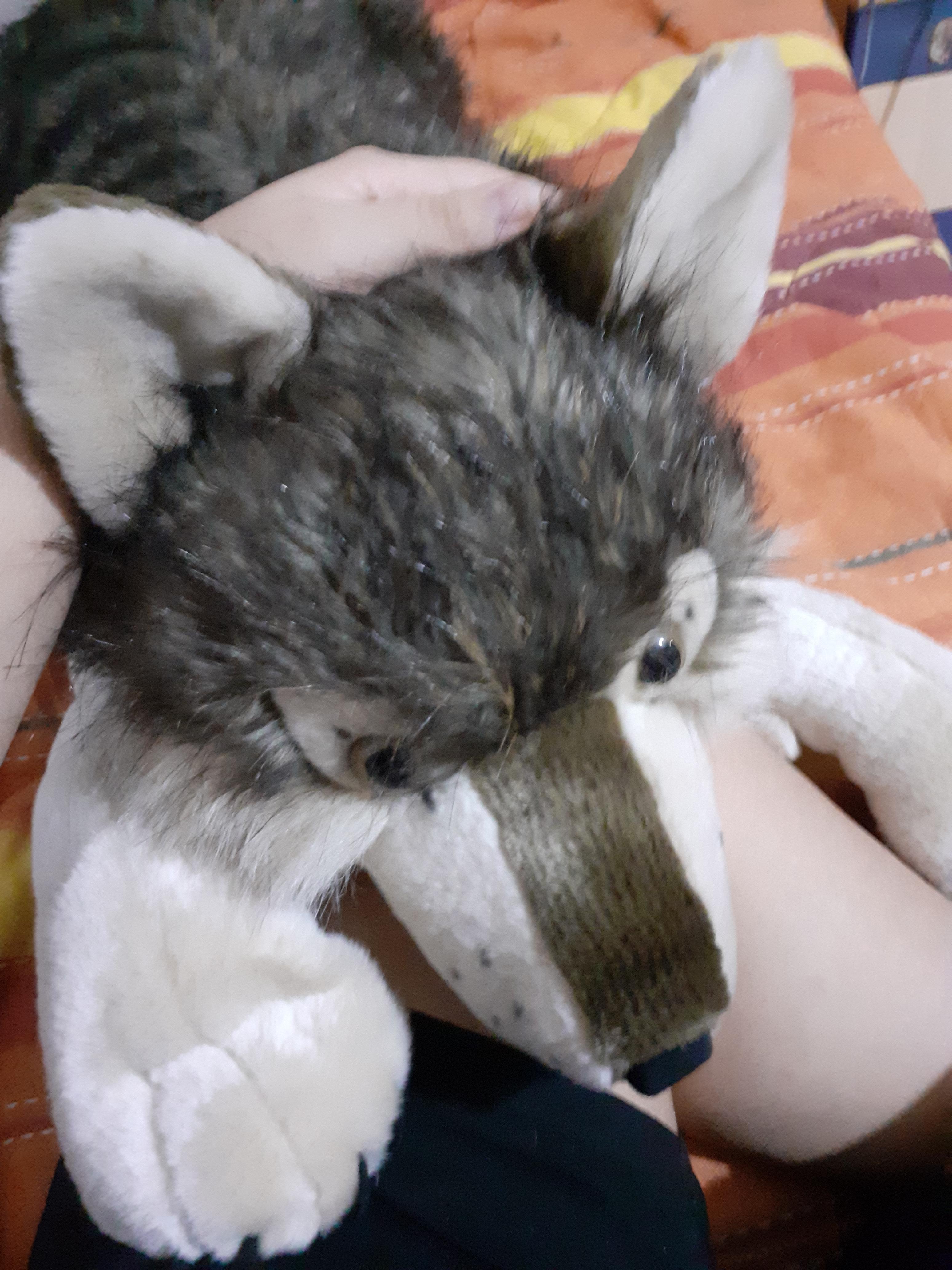 My giant wolf plush 💖🐺 wolves