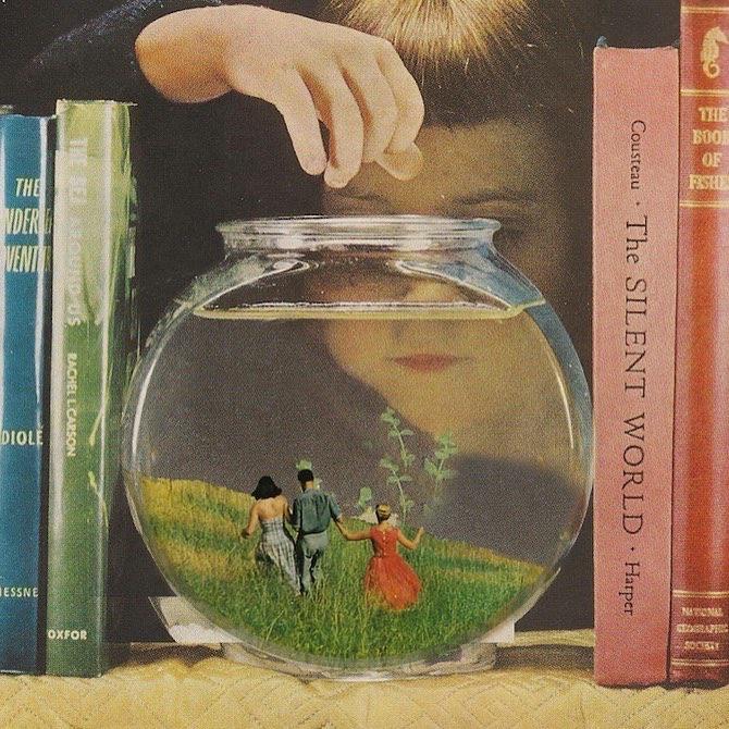 Living In A fish bowl r/DrugArt