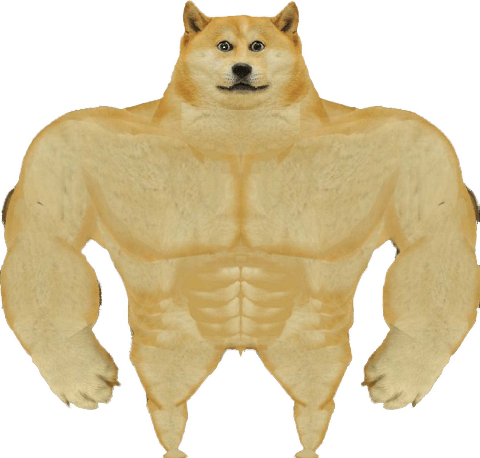 Buff front doge r/dogelore