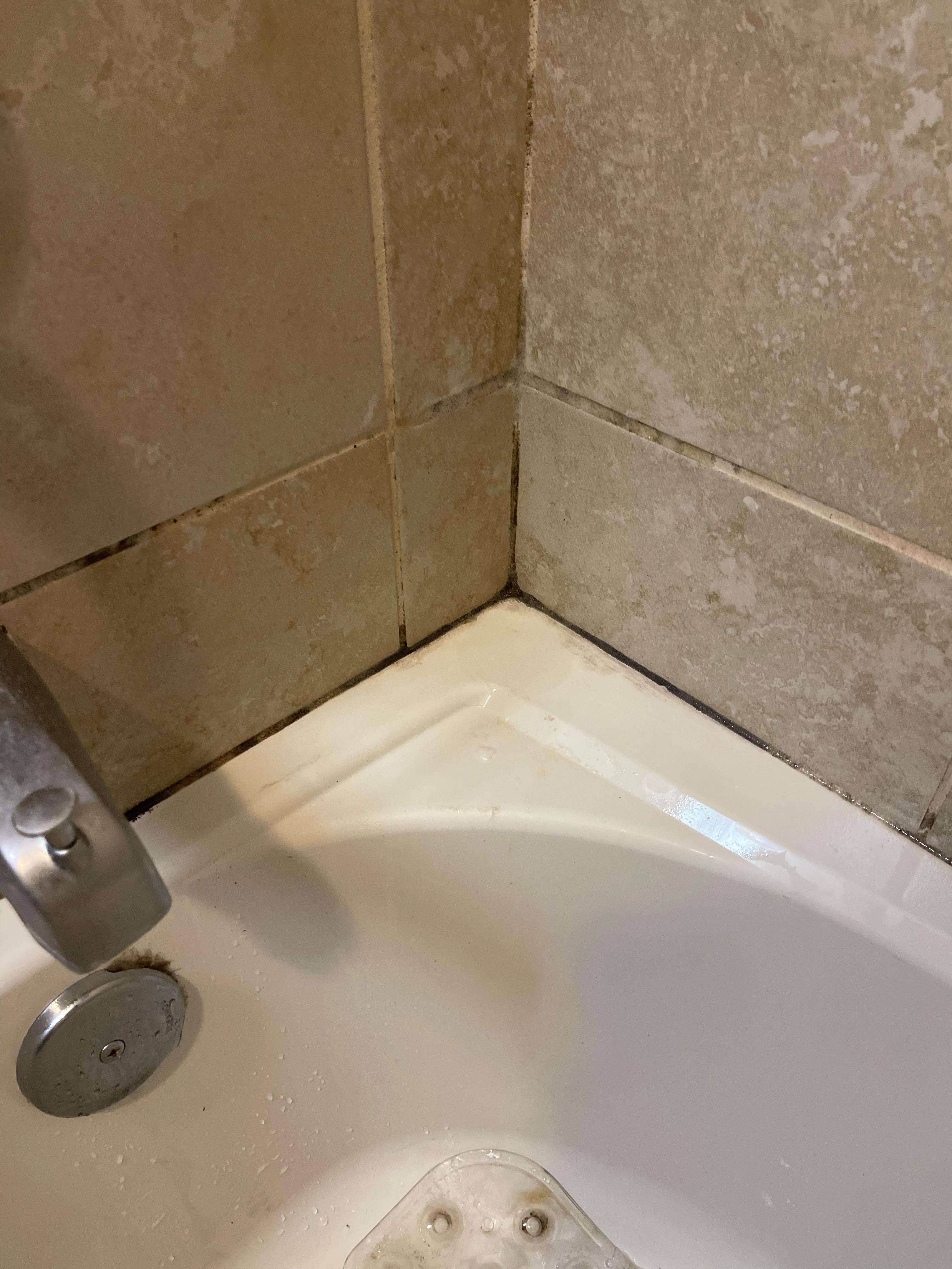 Can’t get rid of black mold on bathroom tiles r/CleaningTips
