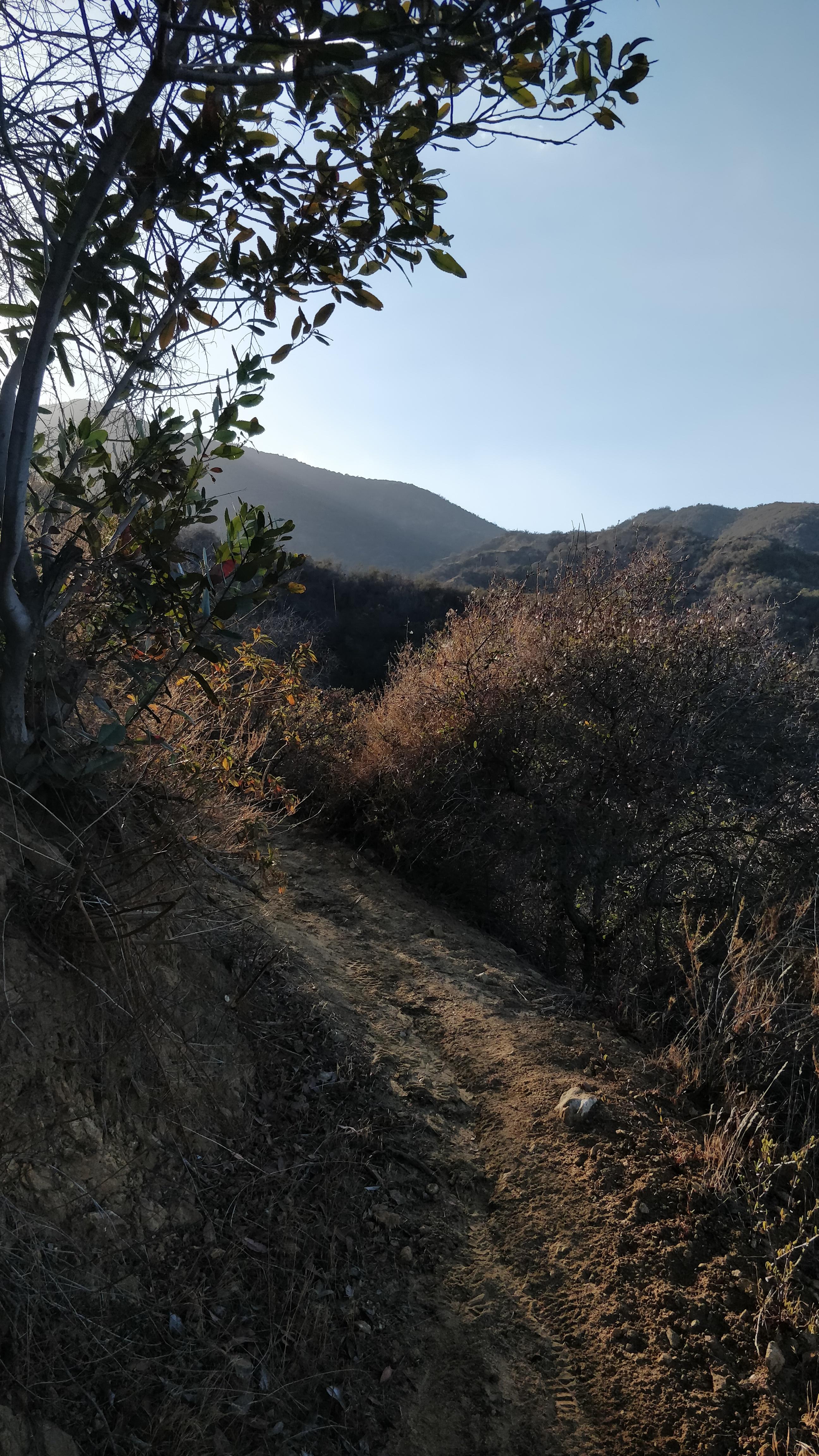 One of my favorite side trails off skyline in corona CA r/trailrunning