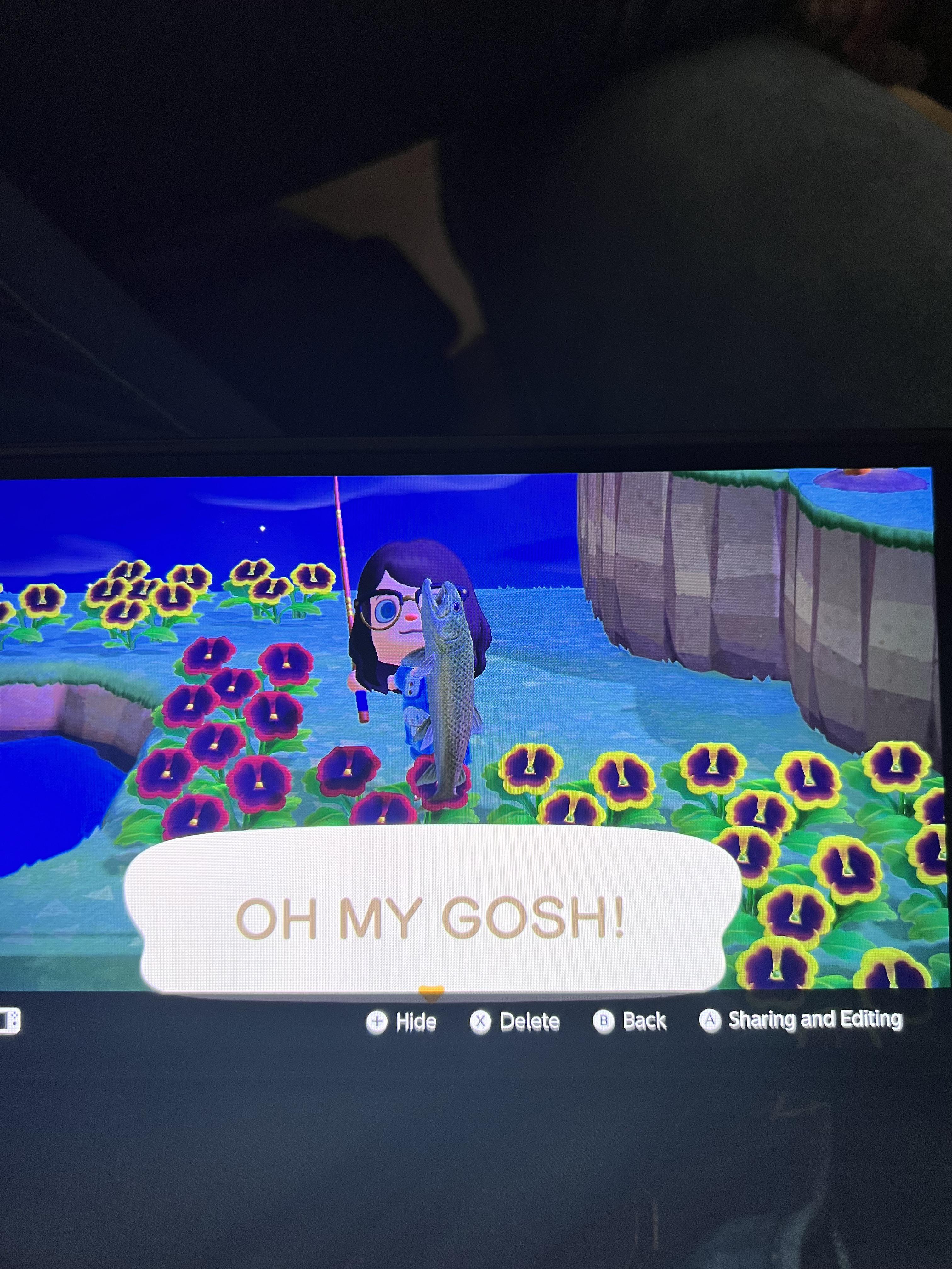 OMG! You guys after searching for months for the stringfish I randomly