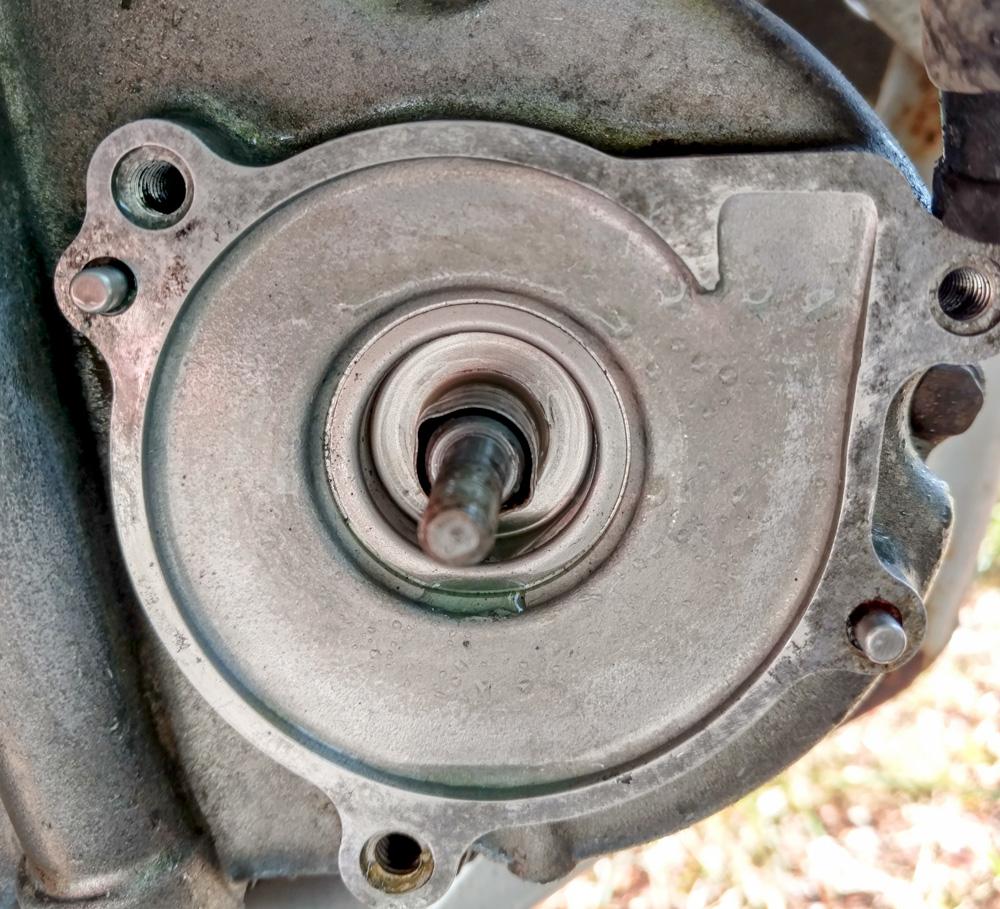 Water pump oil seal removal attempt. r/klr650