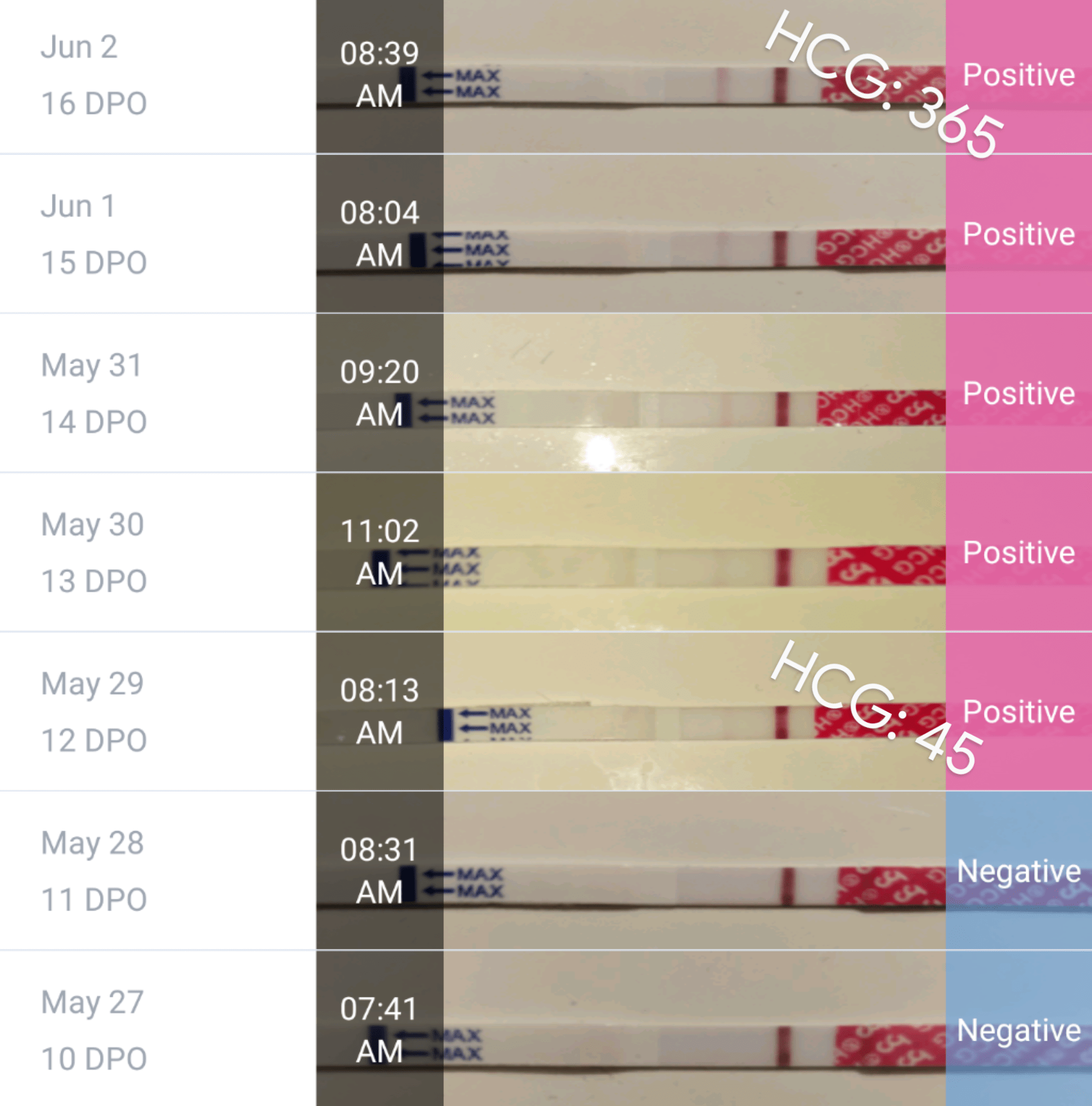 Progression 10-16 DPO (Femometer HCG strips), plus HCG Beta levels at