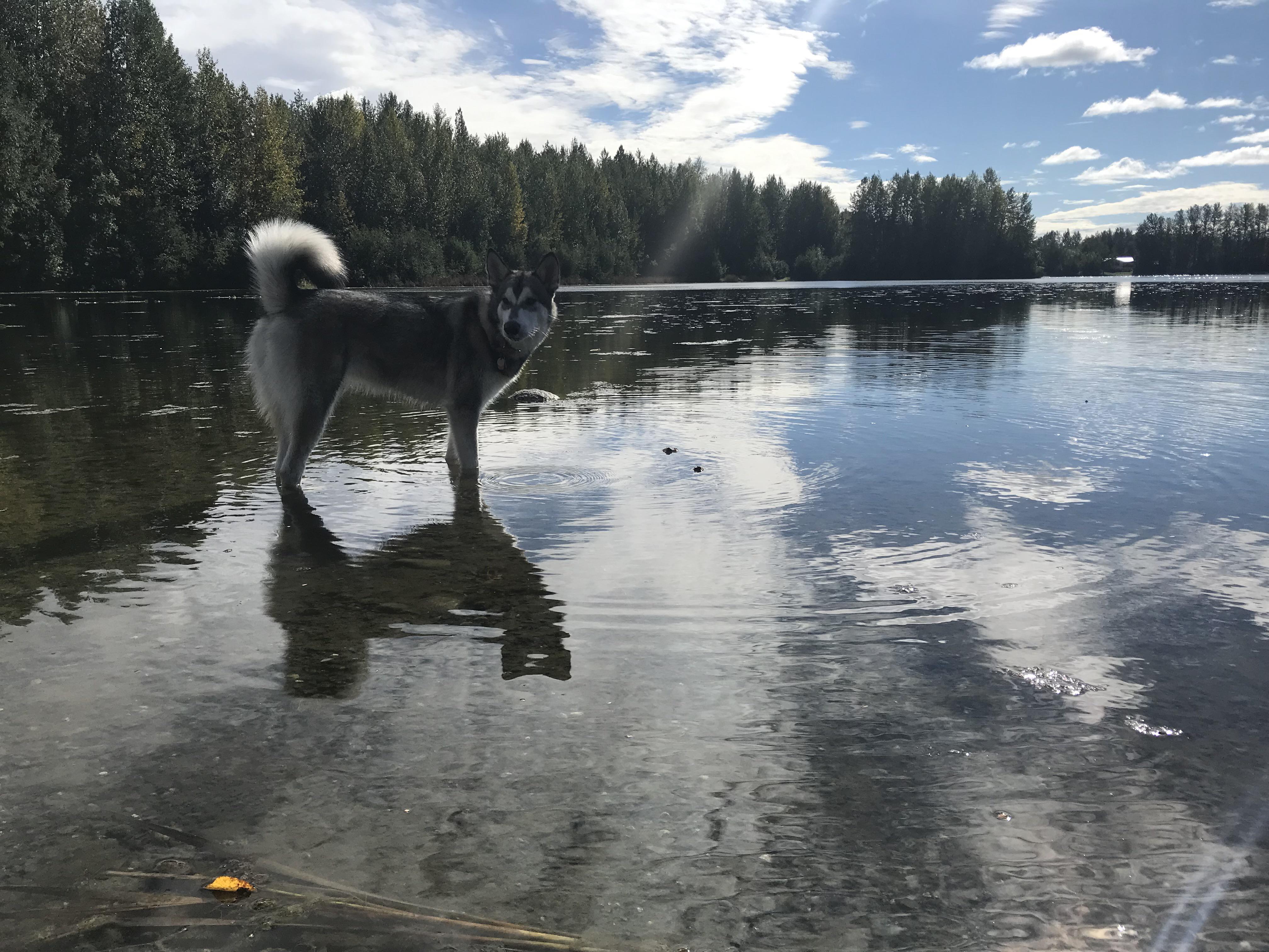 Such a day at Cheney lake r/anchorage