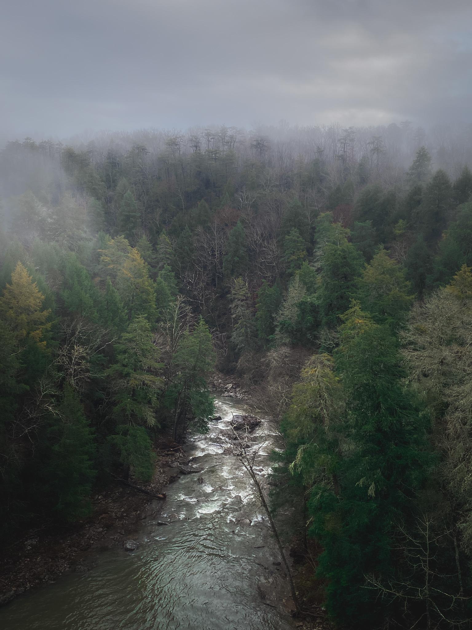 Cane Creek, TN [OC] 1536x2048 r/EarthPorn