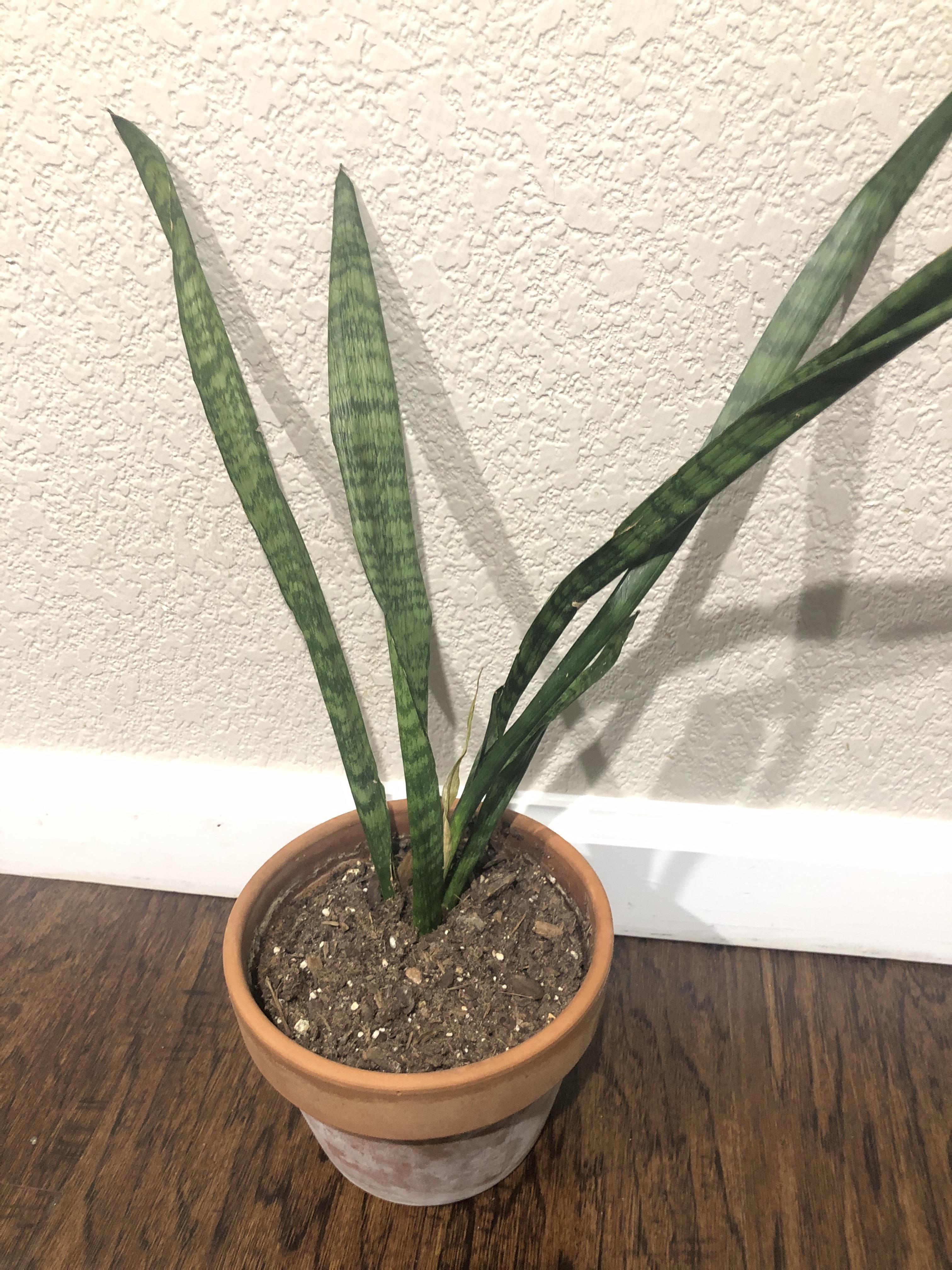 How to prop/save? After a tipping over during a move this