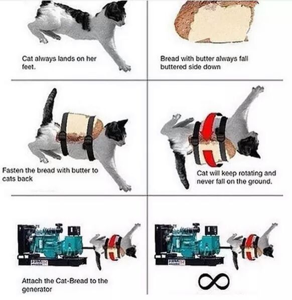 Cat Buttered Toast Meme All About Image HD