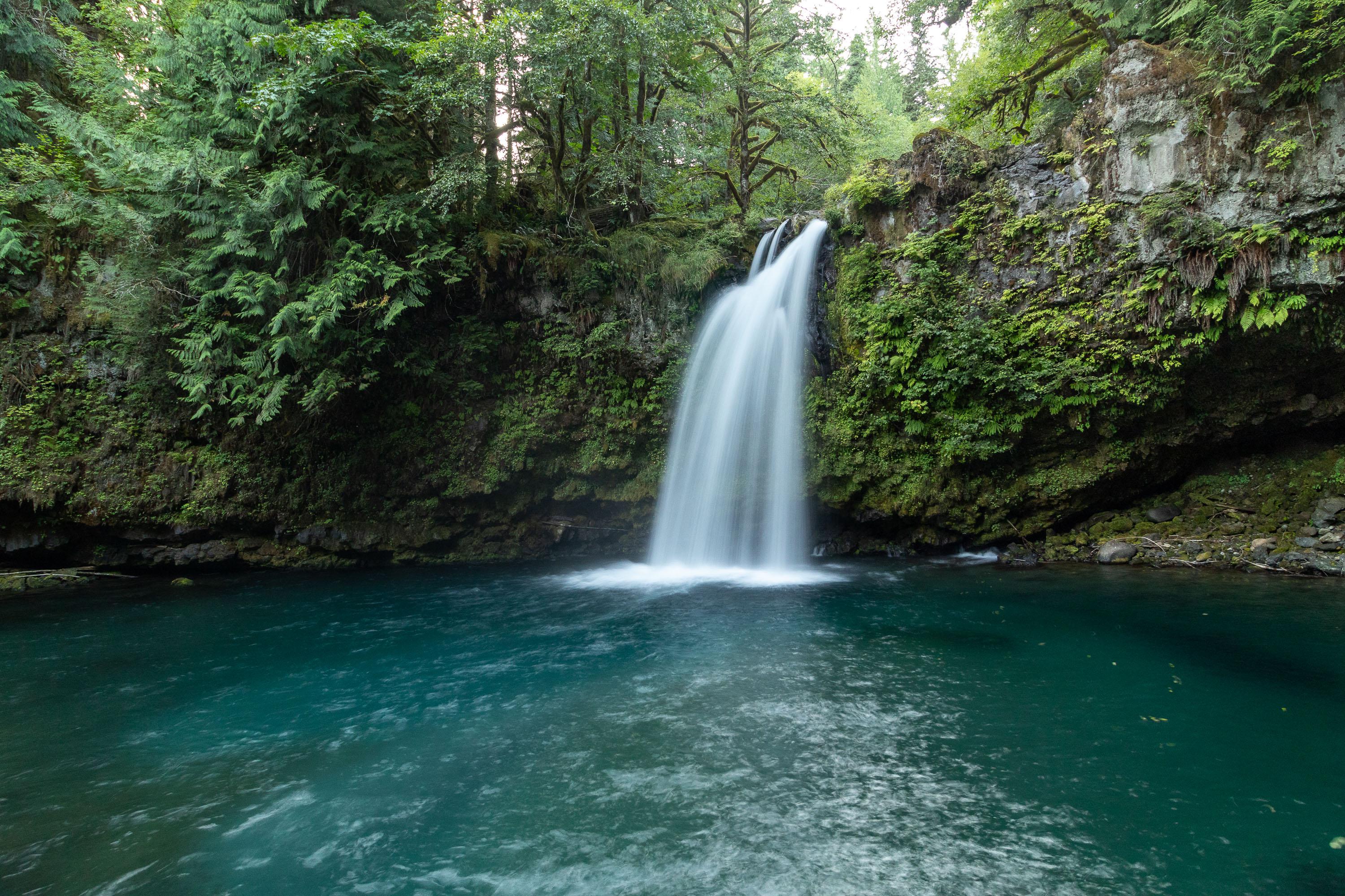 The punchbowl style of waterfall is my favorite Gifford Pinchot National Forest, WA [OC