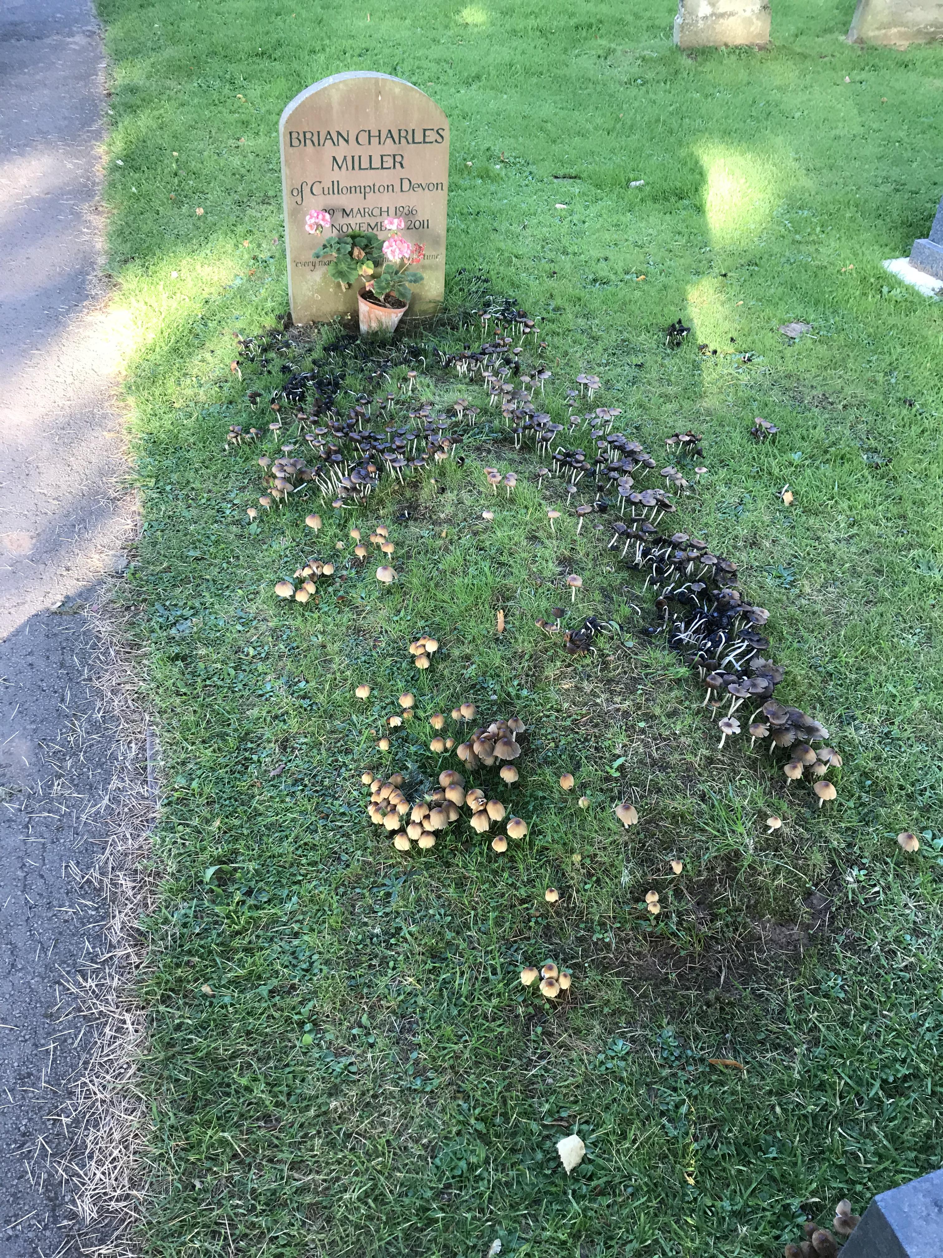 The only grave in the graveyard with mushrooms growing all over it r