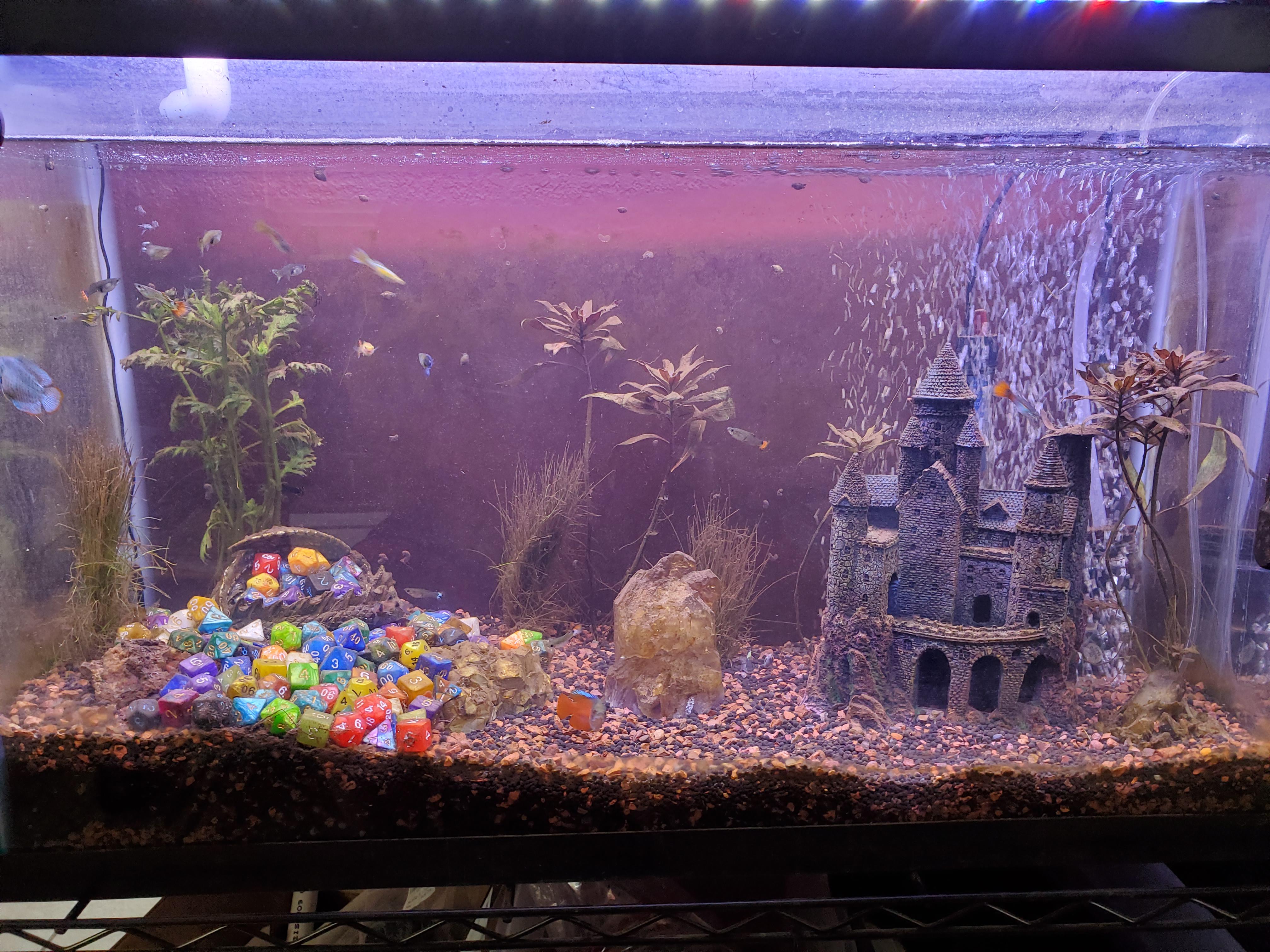 I don't know how much cross over there is between fish keepers and