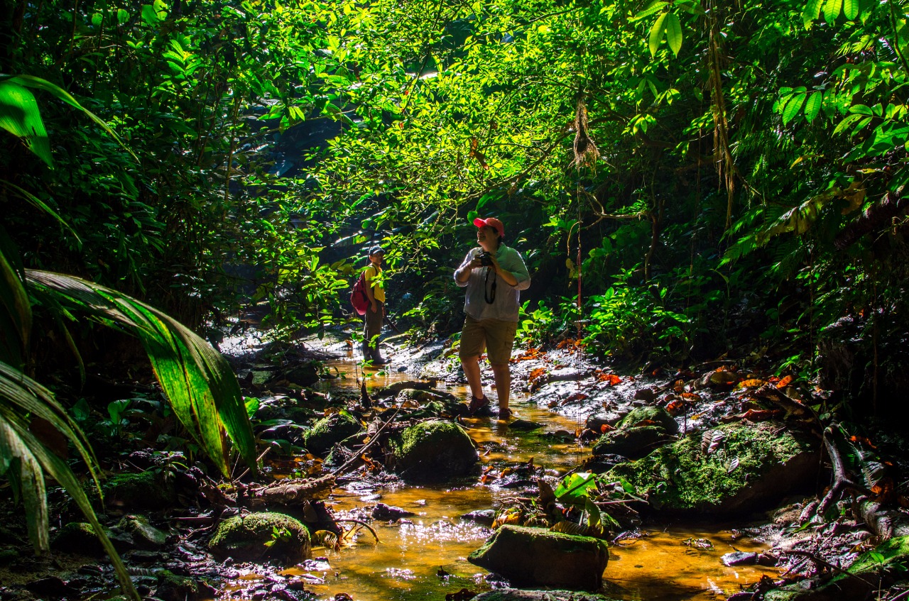 Deep in the rain forest of Peru r/PERU