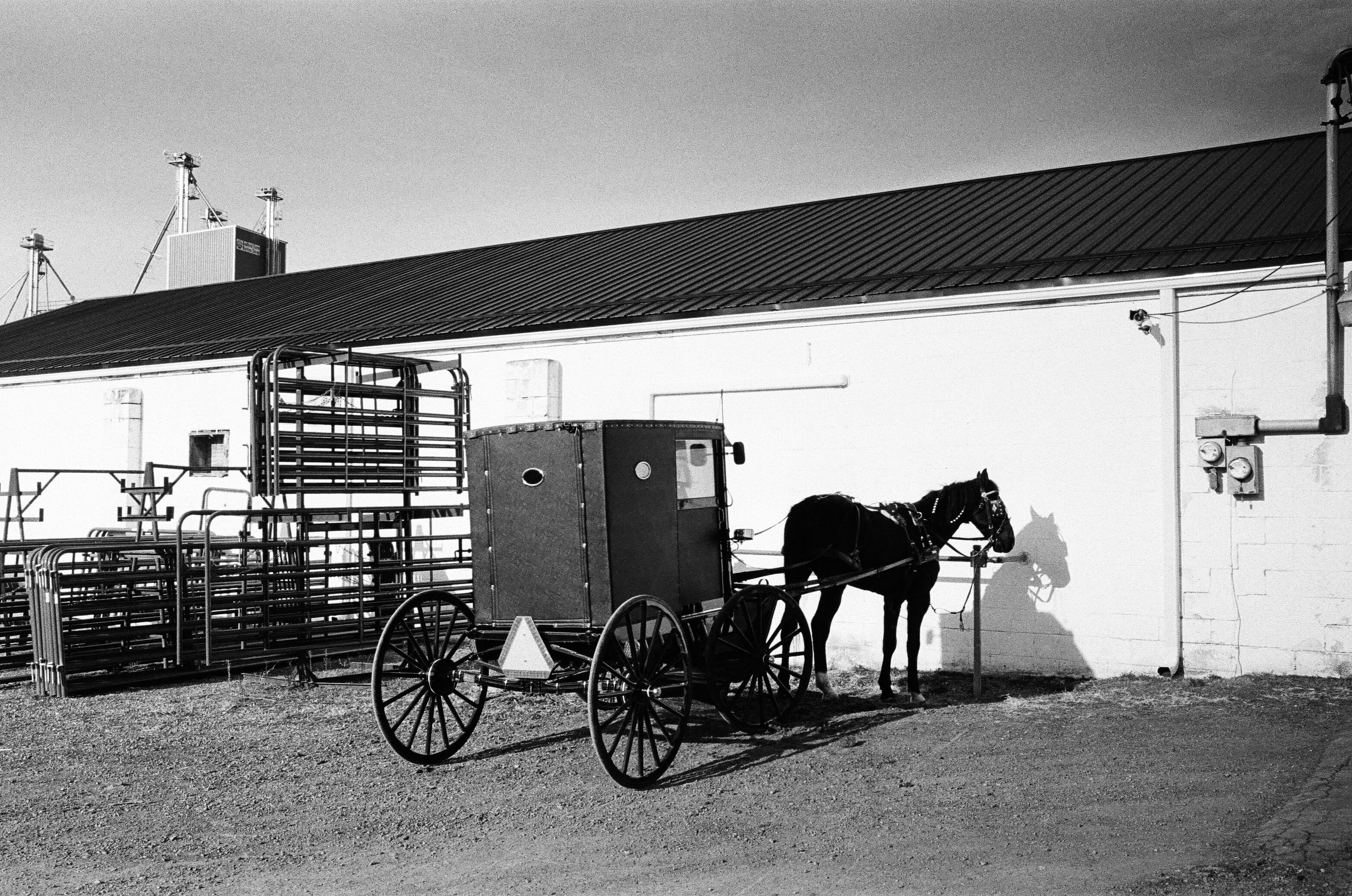 Curryville, Pennsylvania Leica M2/ 35mm Summicron/ Kodak Trix 400 r
