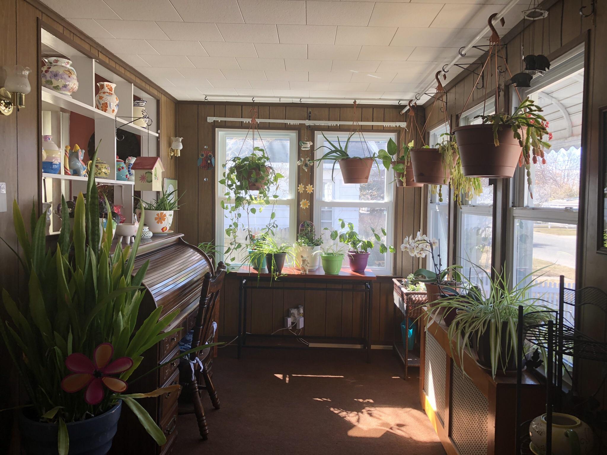 My indoor garden! I love this room. r/houseplants