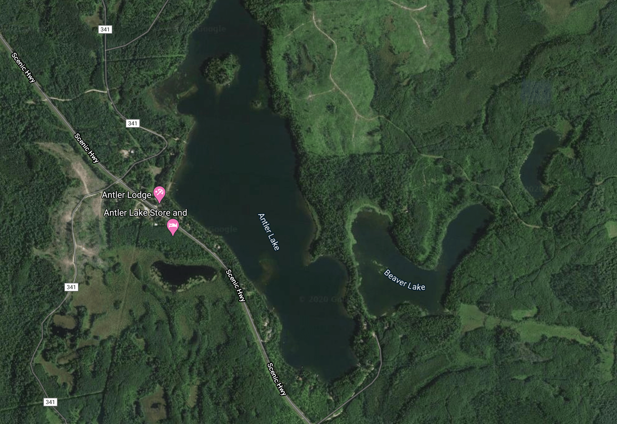 Recently found out why a lake I used to visit every summer as a kid is