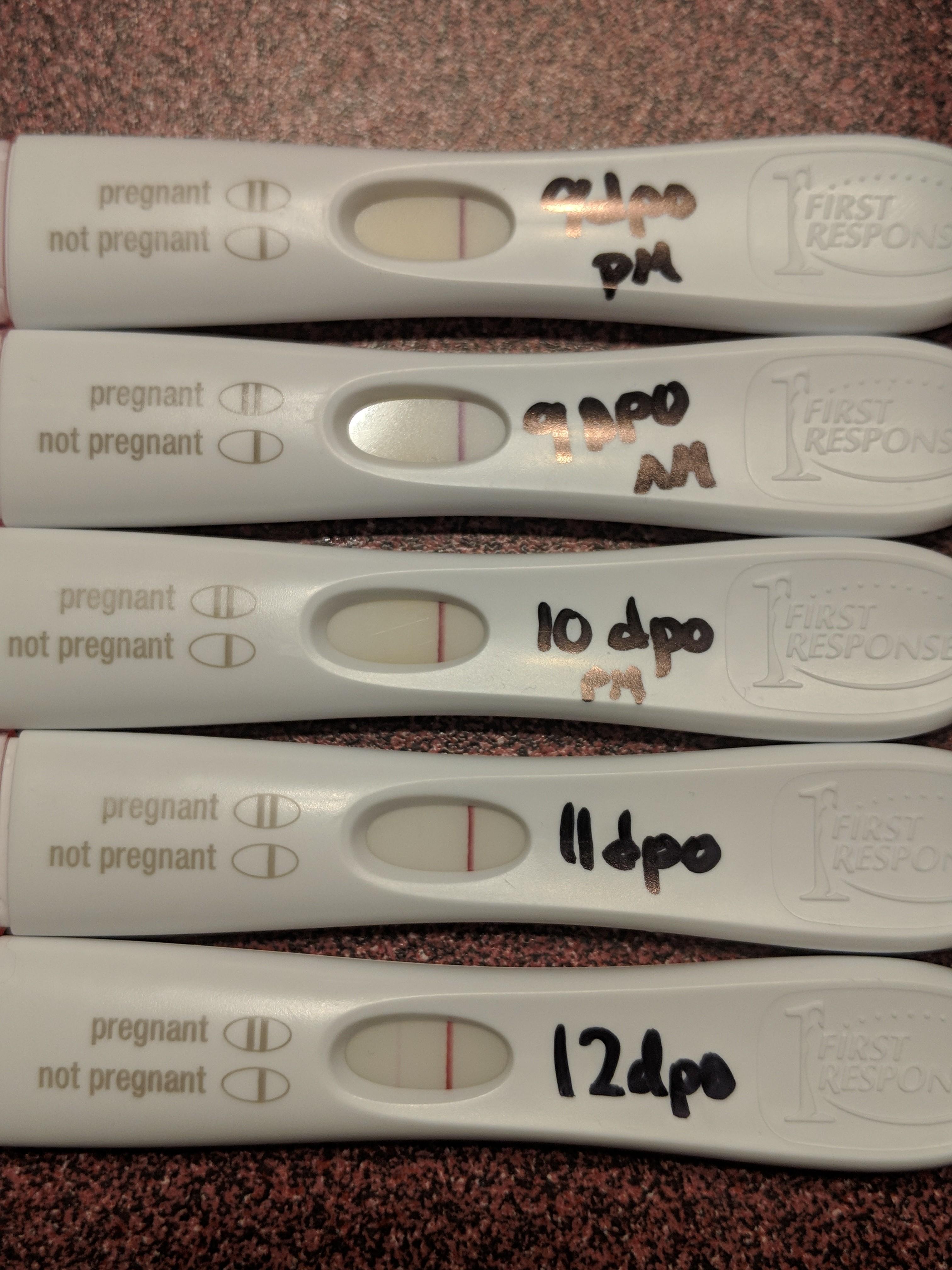My progression from 9 dpo to 12 dpo on FRER hoping for one darker one