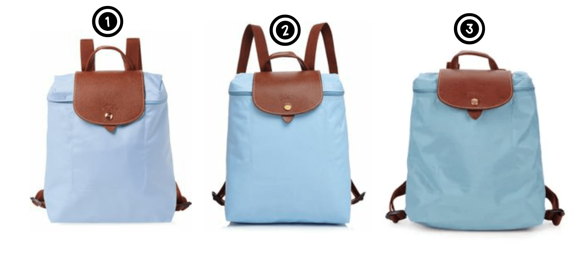 Are Longchamp Bags In Or Out These Days IUCN Water