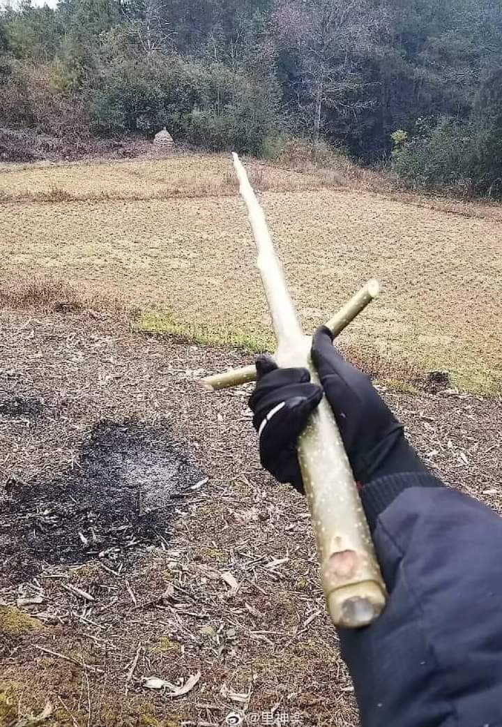 Behold, The most perfect Sword stick