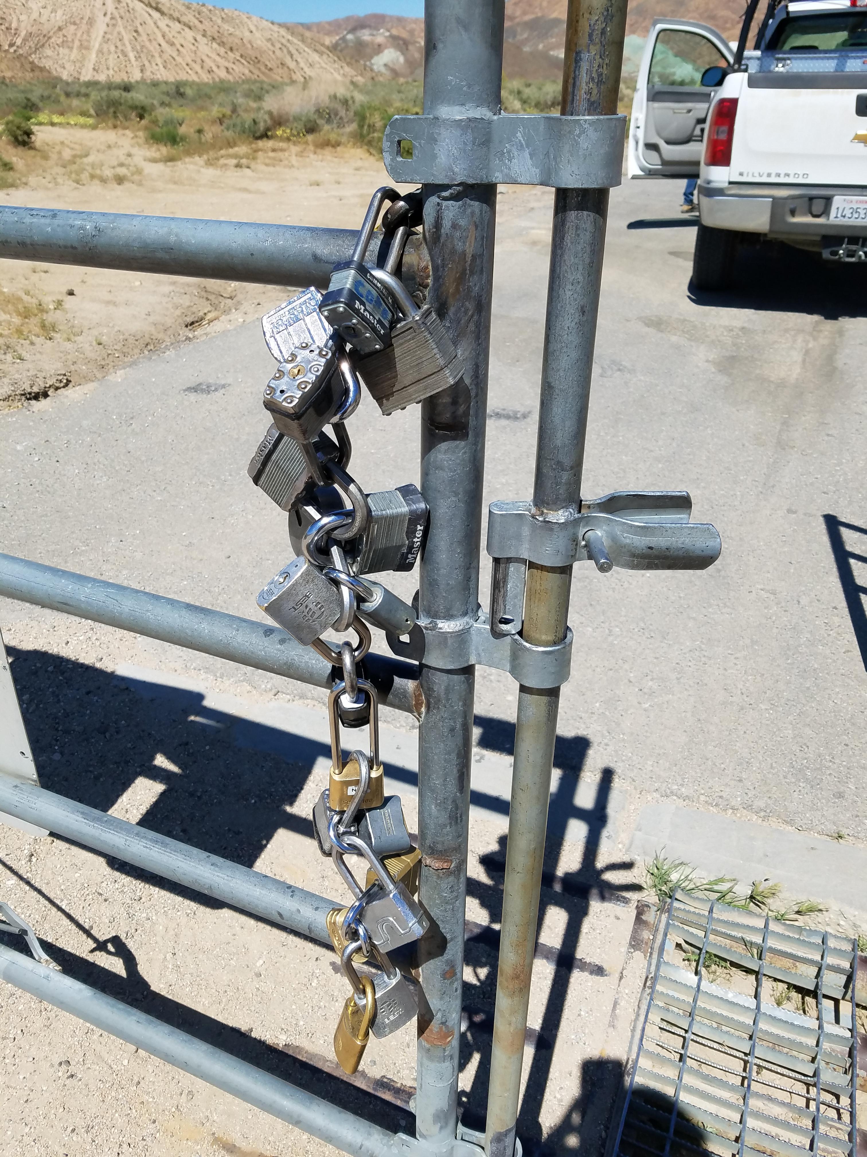 Gate chain made entirely of locks. pics
