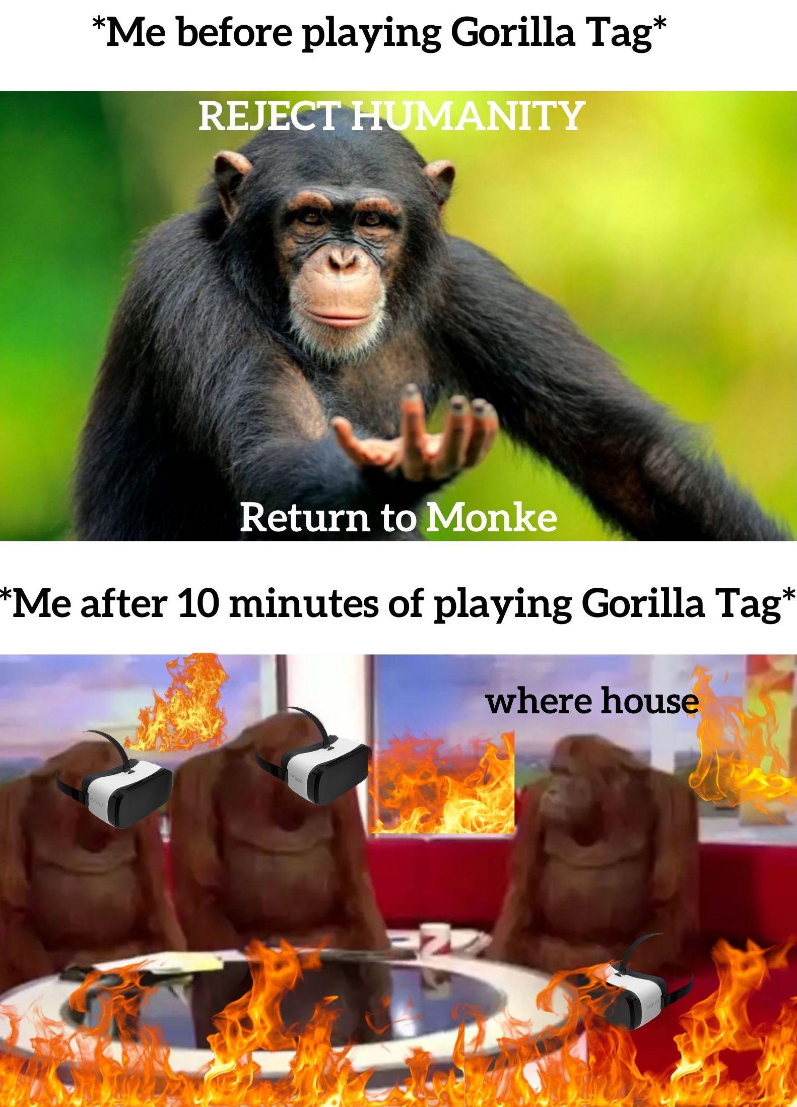Gorilla Tag is too good it should be illegal memes