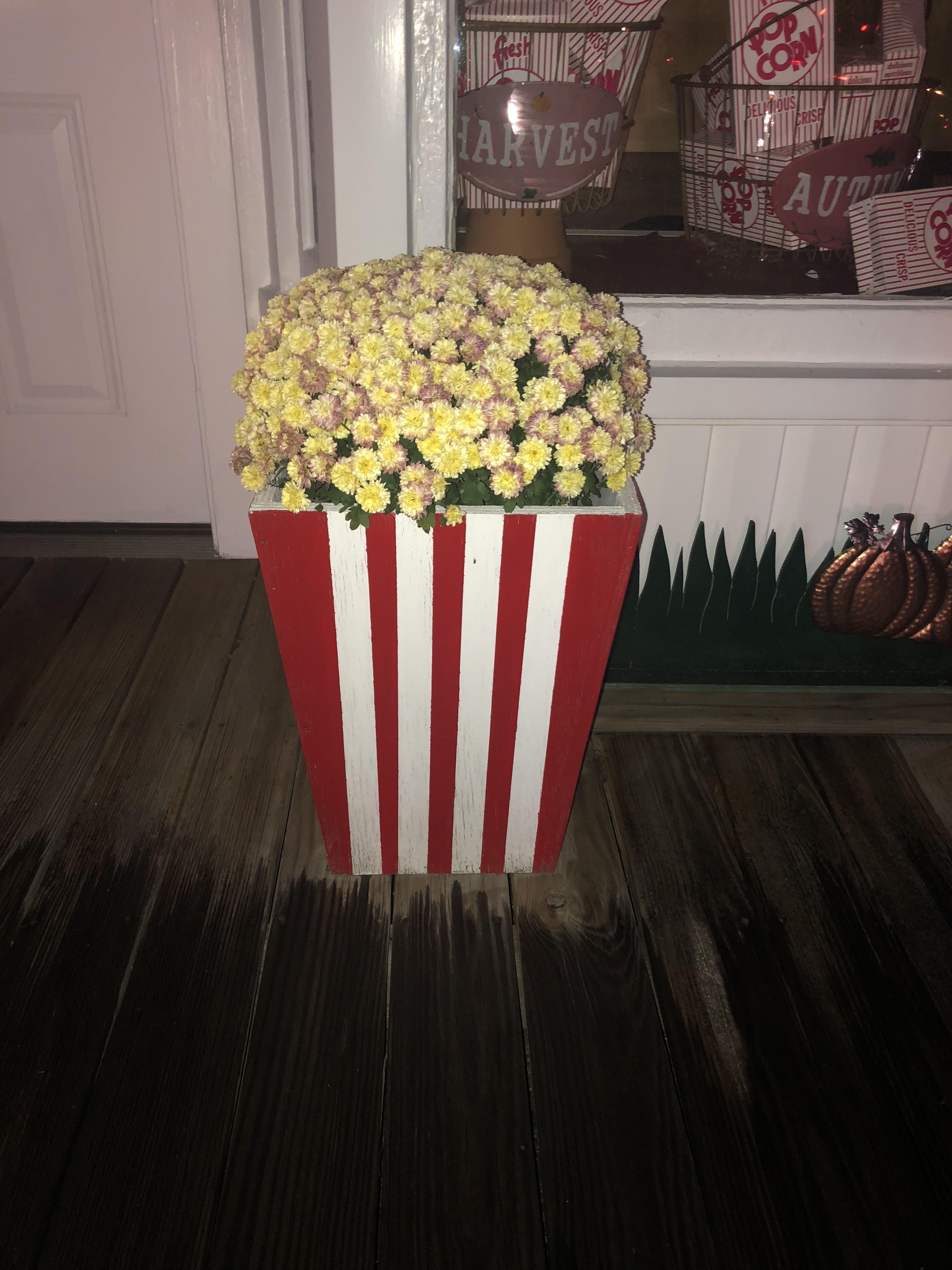 Popcorn flower pot outside my local candy/sweets shop. r
