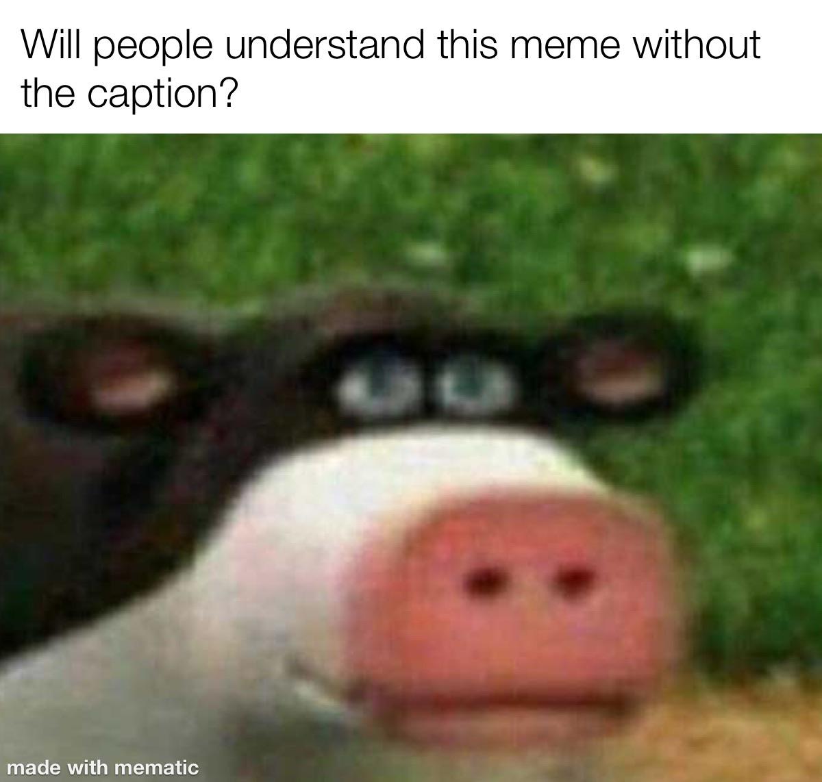 Only Meme Lords get this r/memes