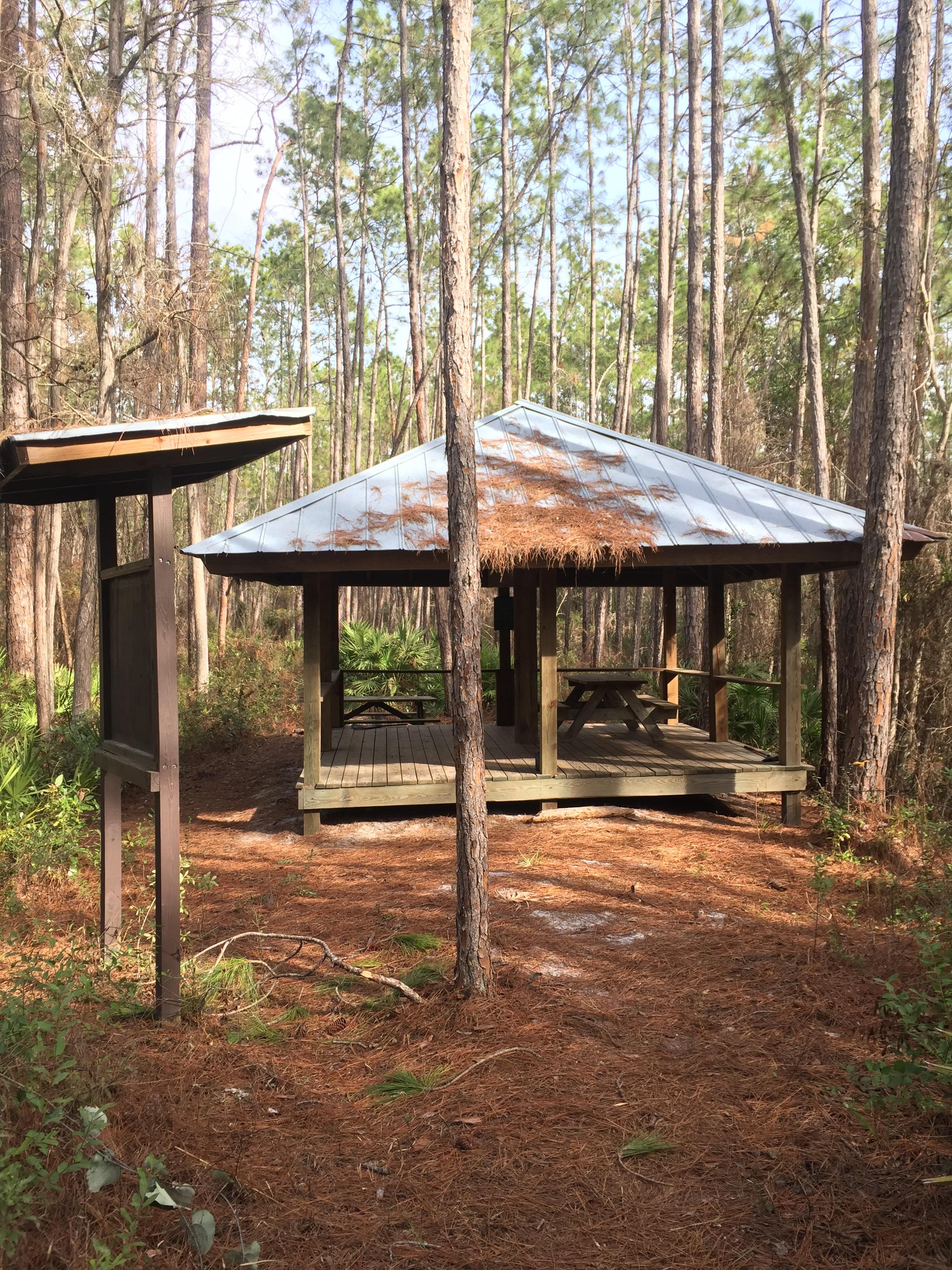 Shelter on the Florida Trail in Osceola National Forest. r/hiking