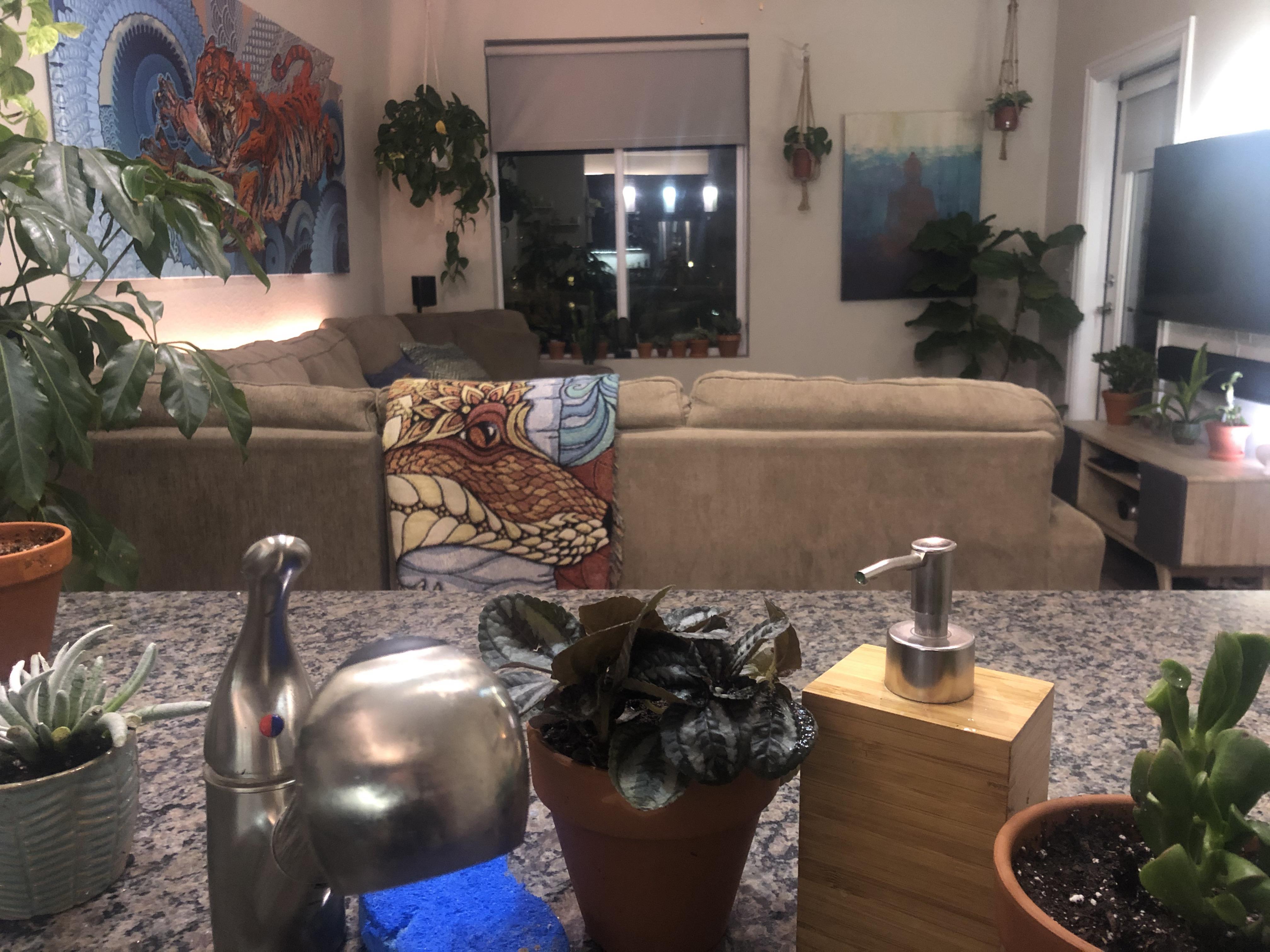 I told my boyfriend “this used to be a weekend problem but here we are