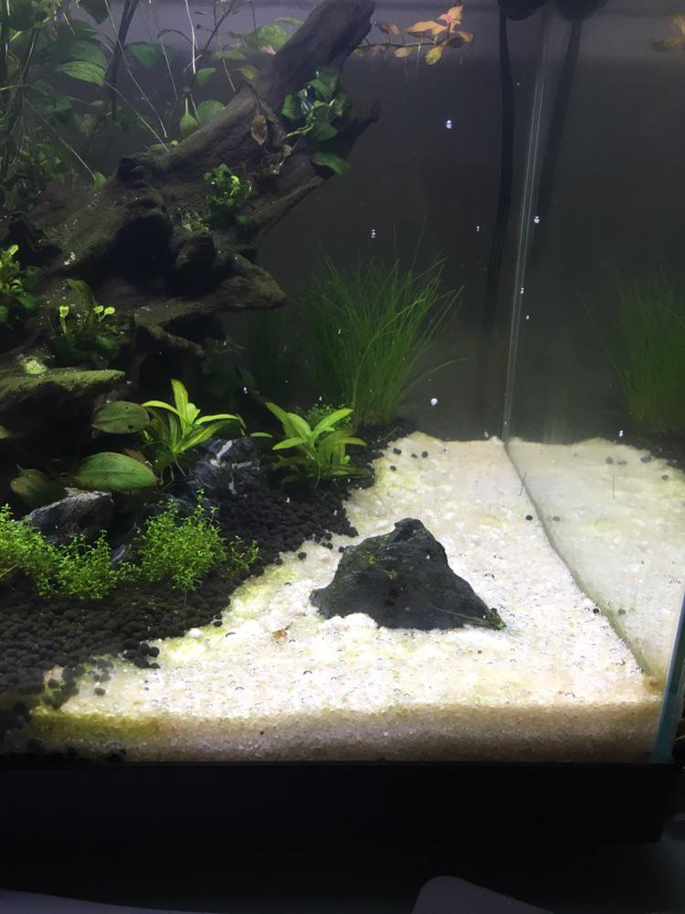 Does anyone know why I get this weird bubbling in my sand when I run