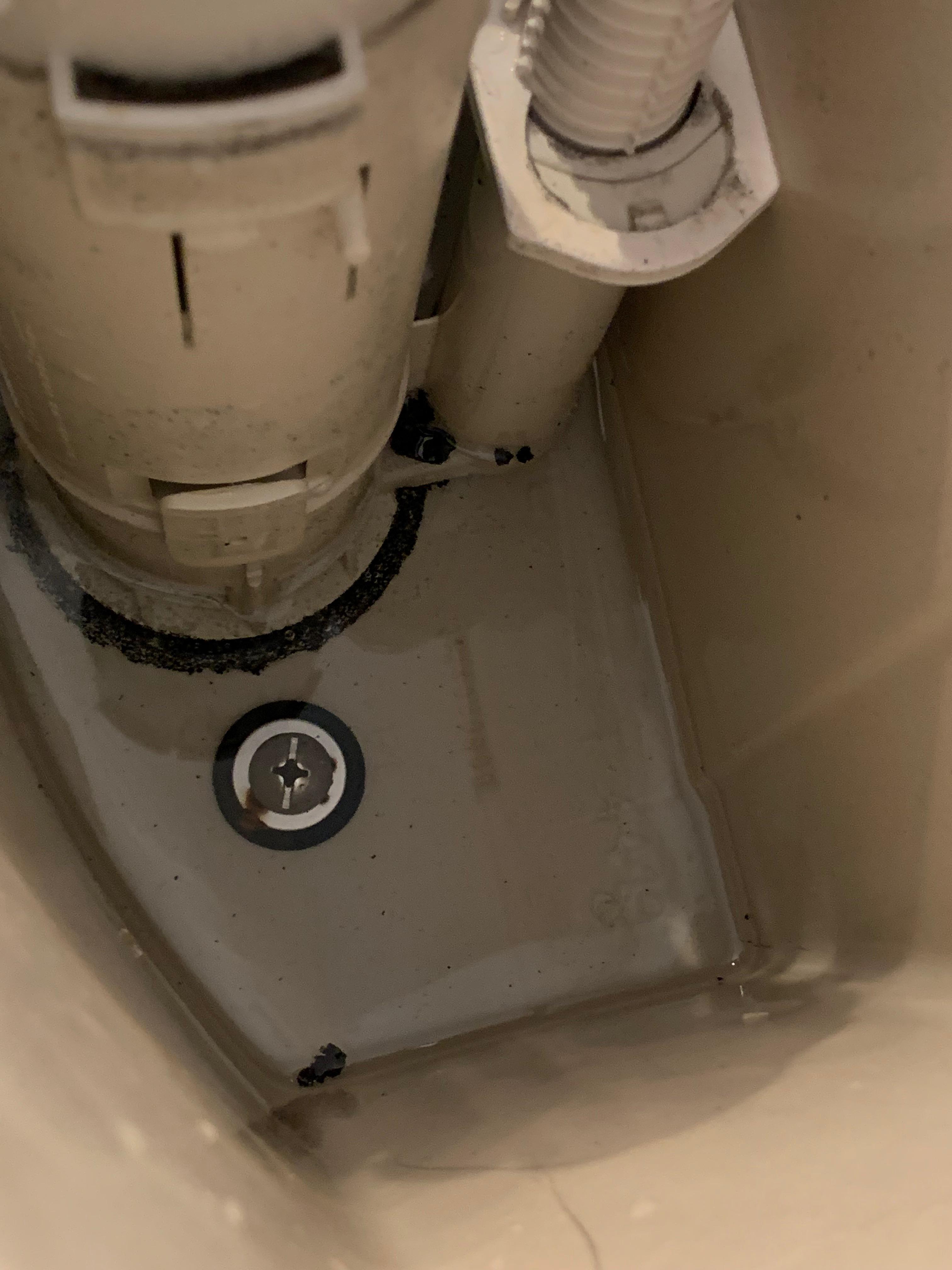 Vinegar In Toilet Tank For Mold at Heather Clement blog