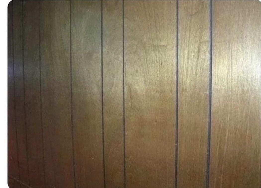These wood paneled walls r/nostalgia