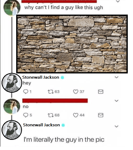 All in all you're just another brick in the wall r/HistoryMemes