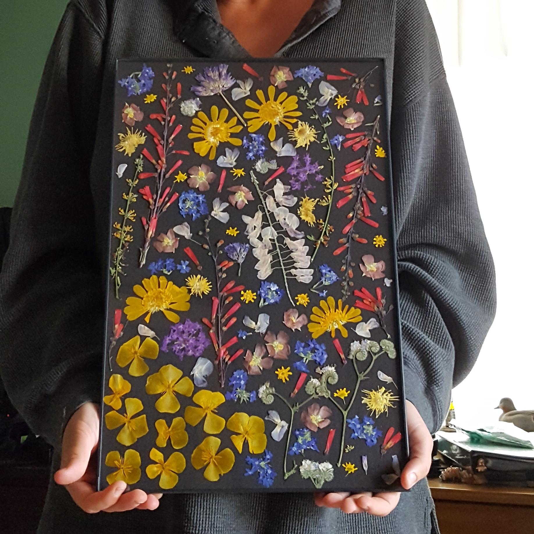 Wild flower press. 1836×1837 [OC] r/Art