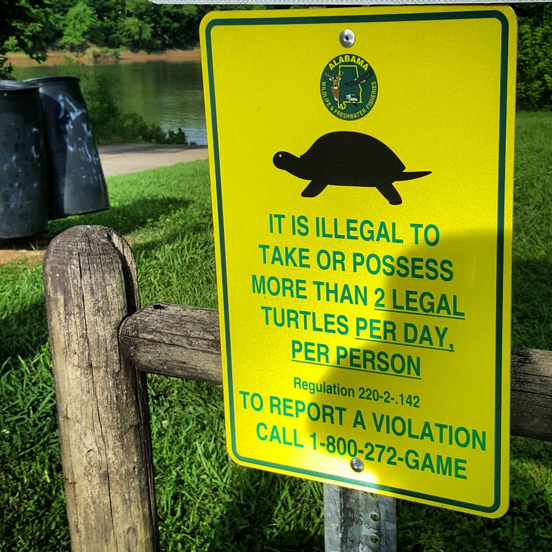 A sign reminding you of the turtletaking limit. r/mildlyinteresting