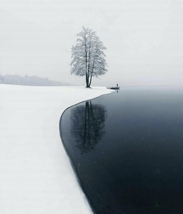 This beautiful Piece of nature r/pics