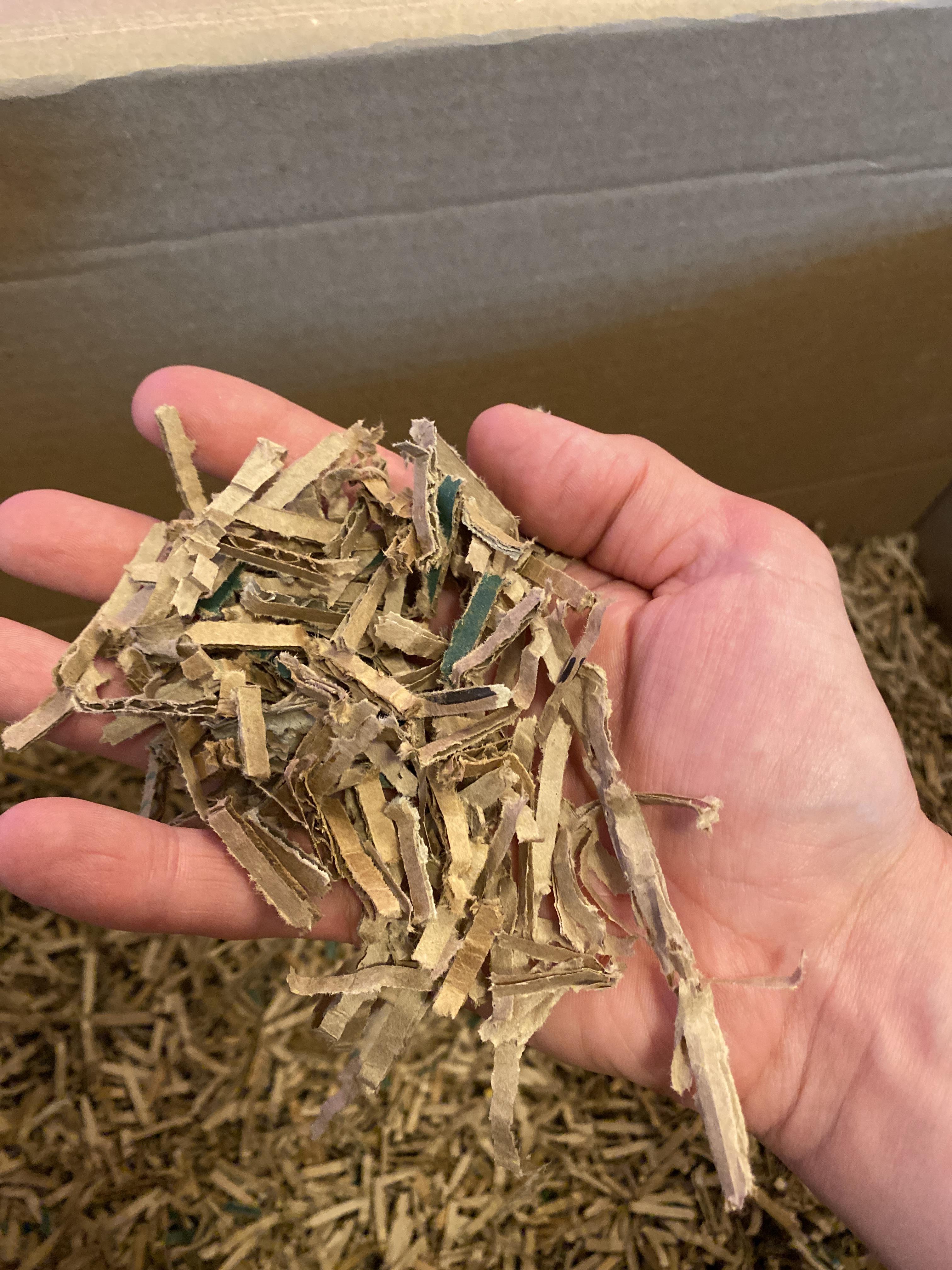 Would shredding cardboard in a paper shredder work okay for bedding in