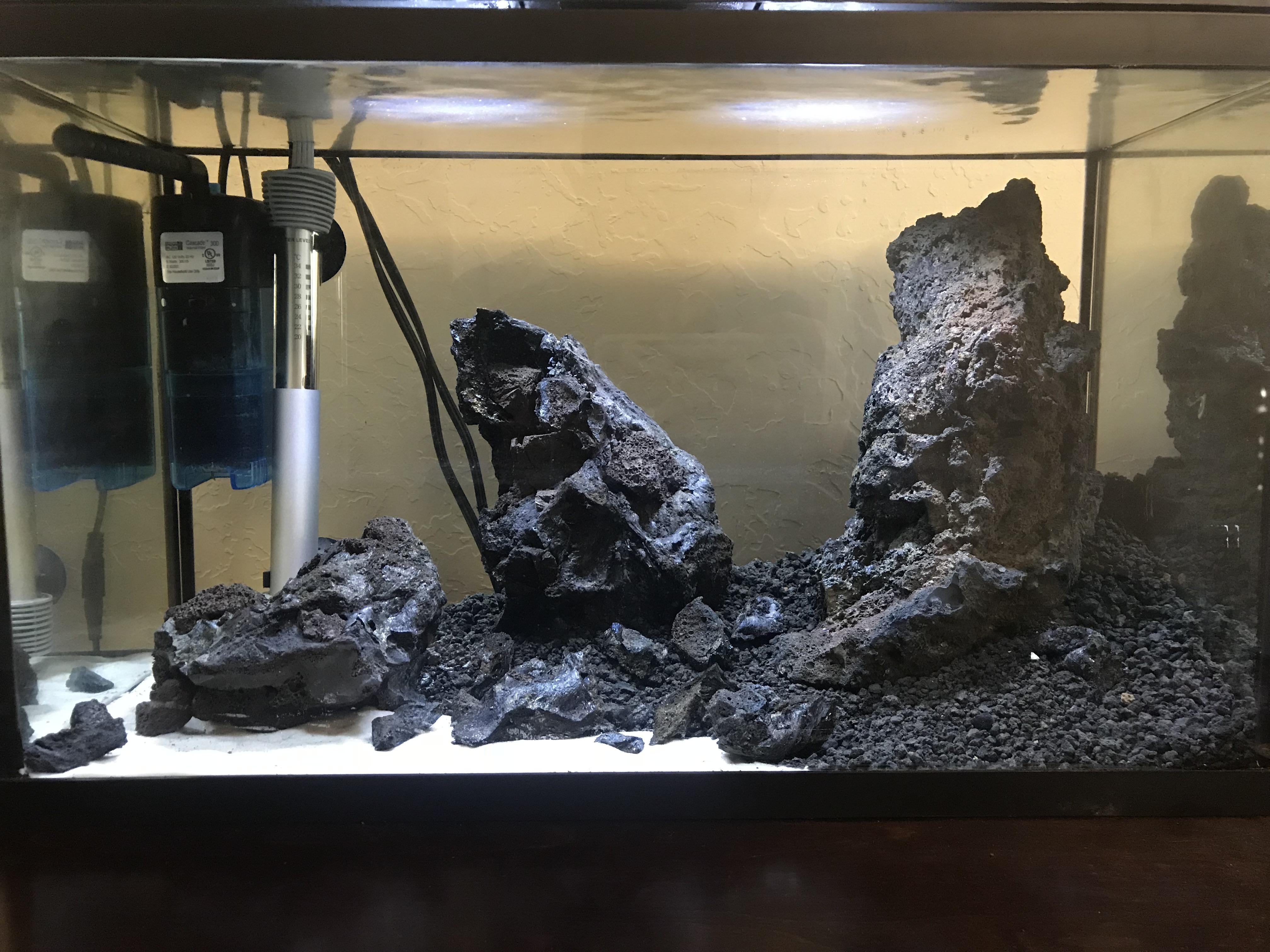 My 10g Nano lava rock Aquascape in progress. Plants coming in this week
