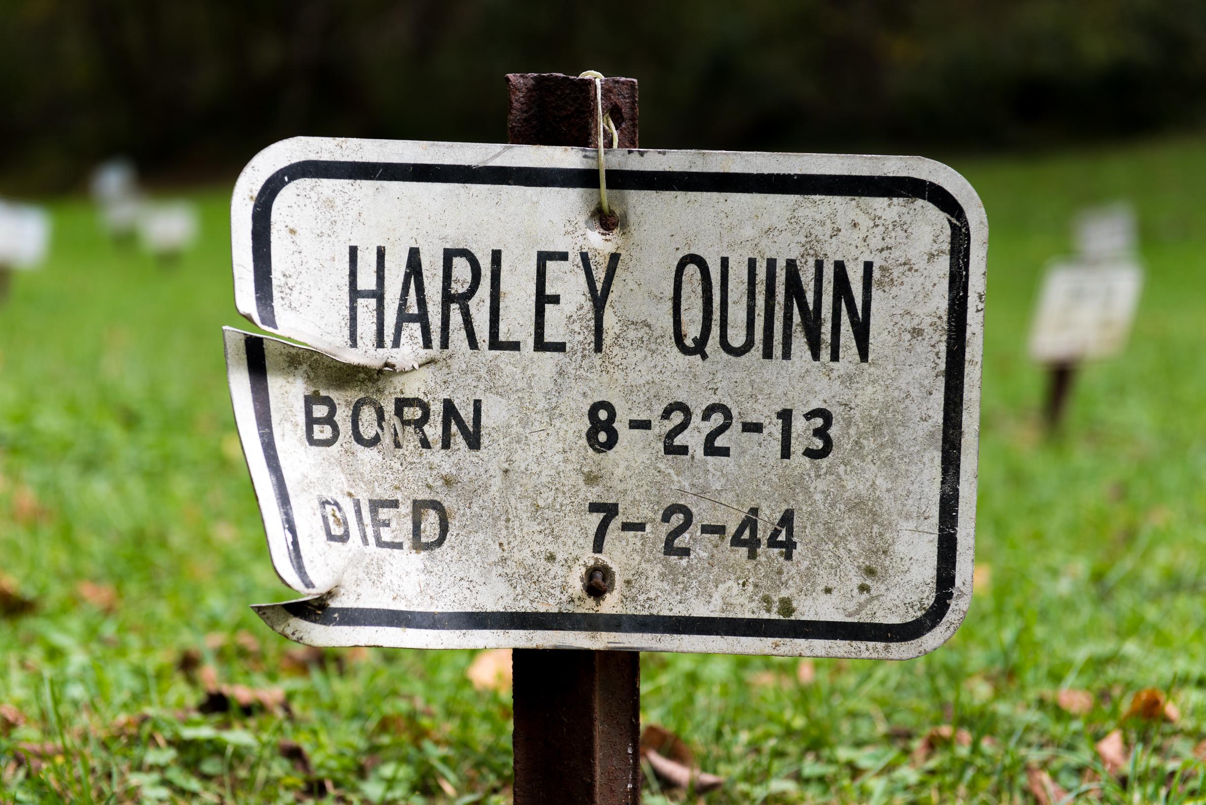 Convict's grave in a West Virginia prison cemetery. The name caught my