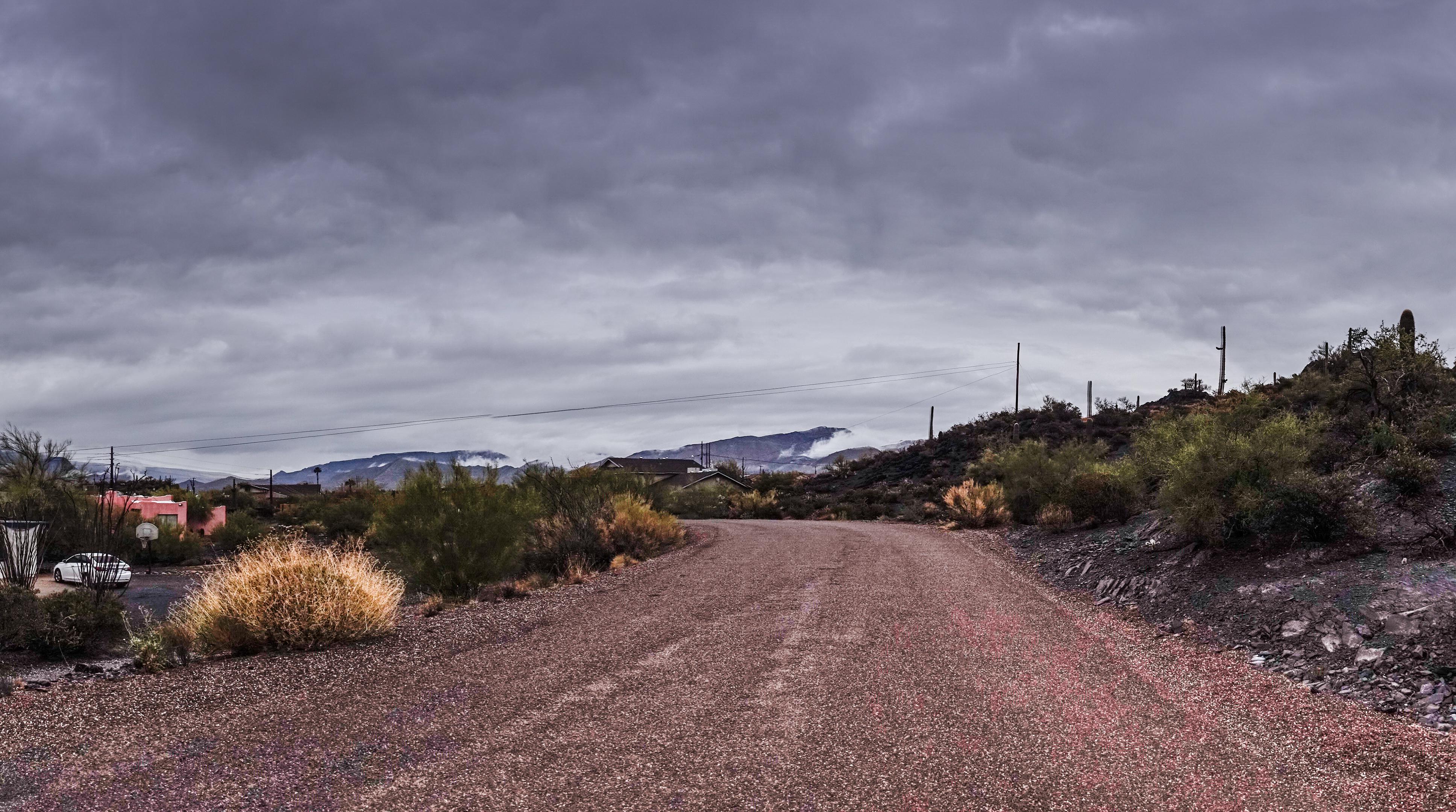 A view of the fog from Cave Creek. r/arizona