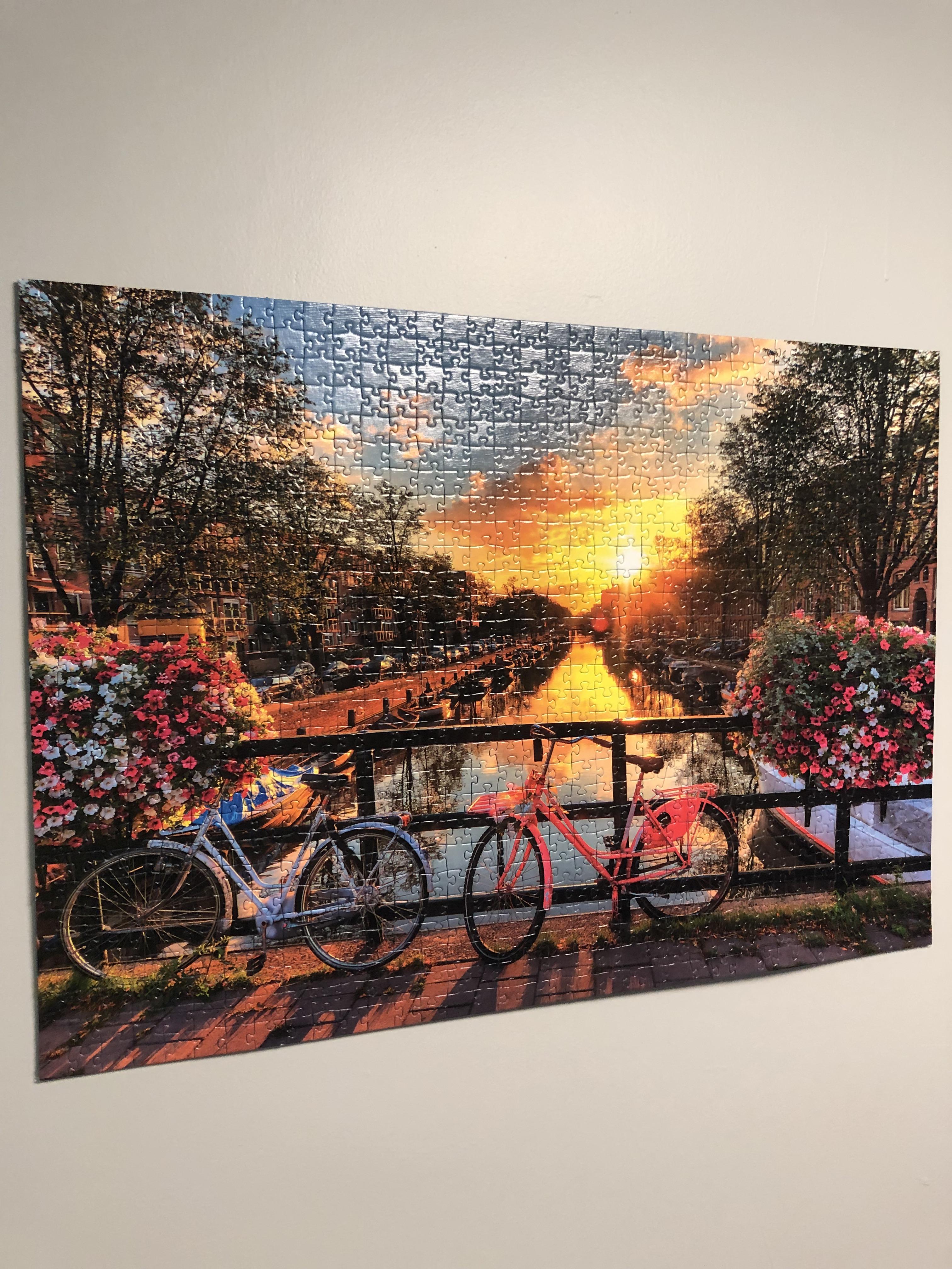 Appreciate folks on r/jigsaw for ideas on hanging, pretty pleased with 1000 piece Ravensburger
