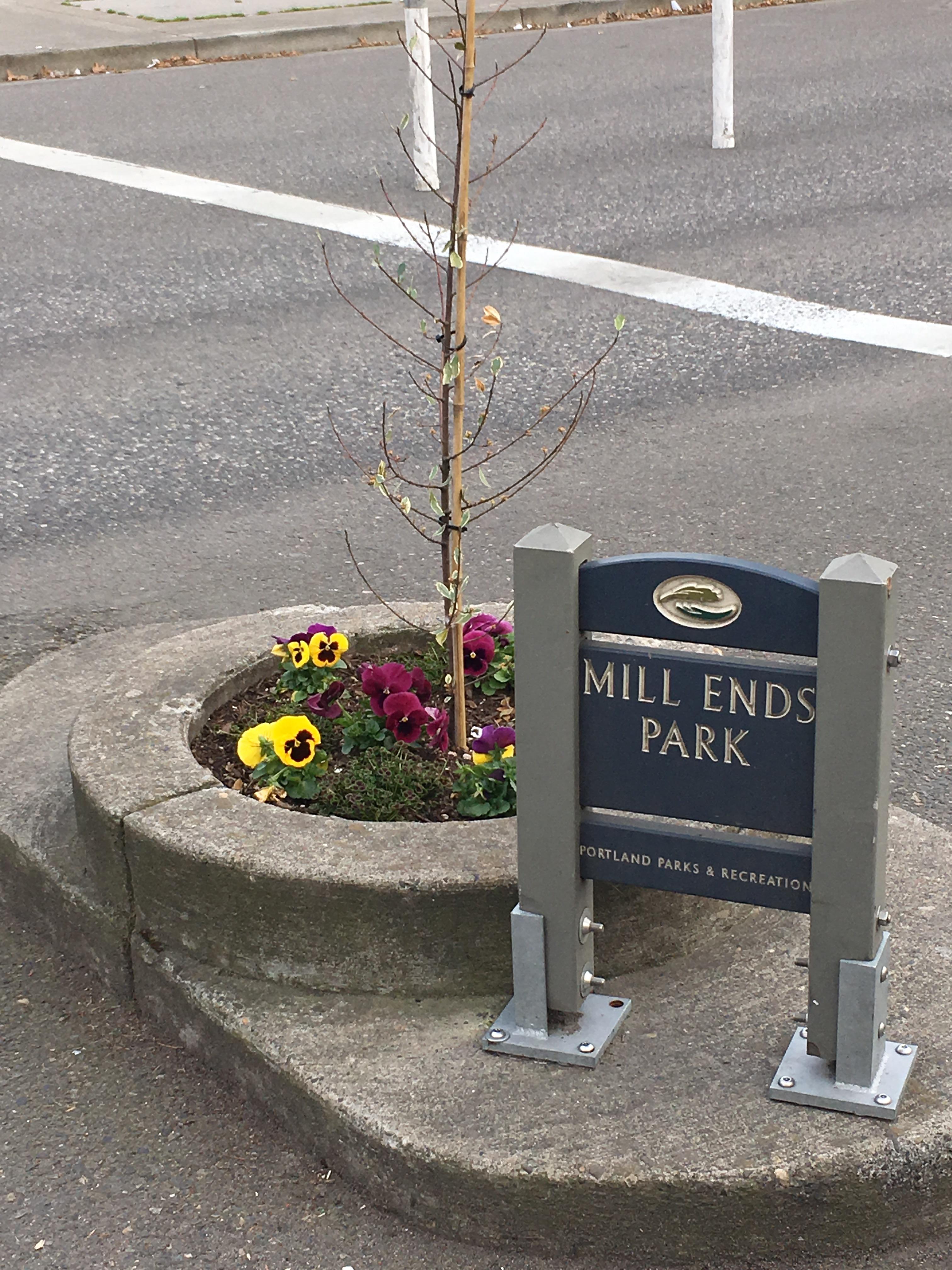 Mill Ends Park, the world’s smallest park r/mildlyinteresting