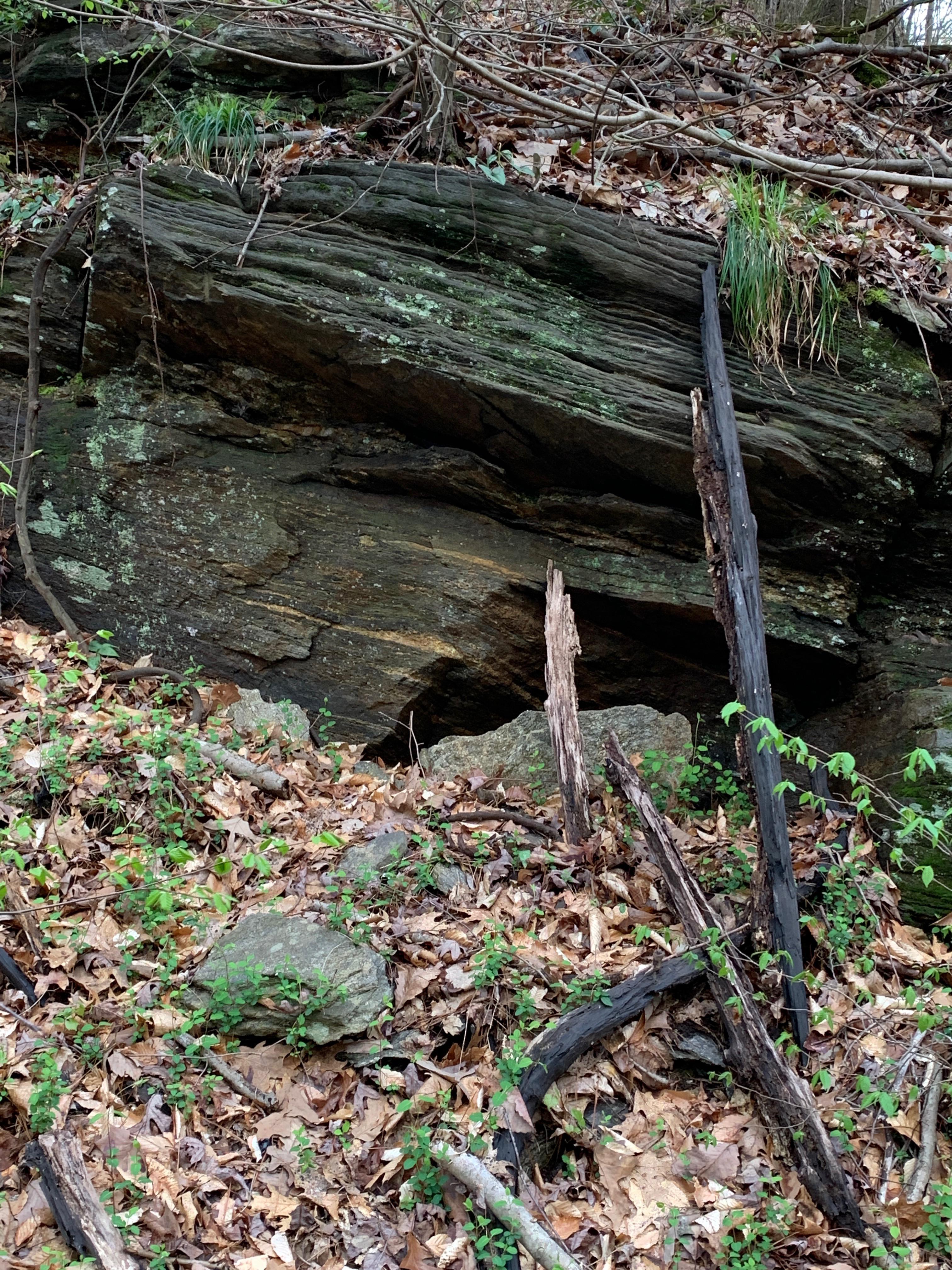 More outcroppings from the Brevard Fault, Atlanta r/geology