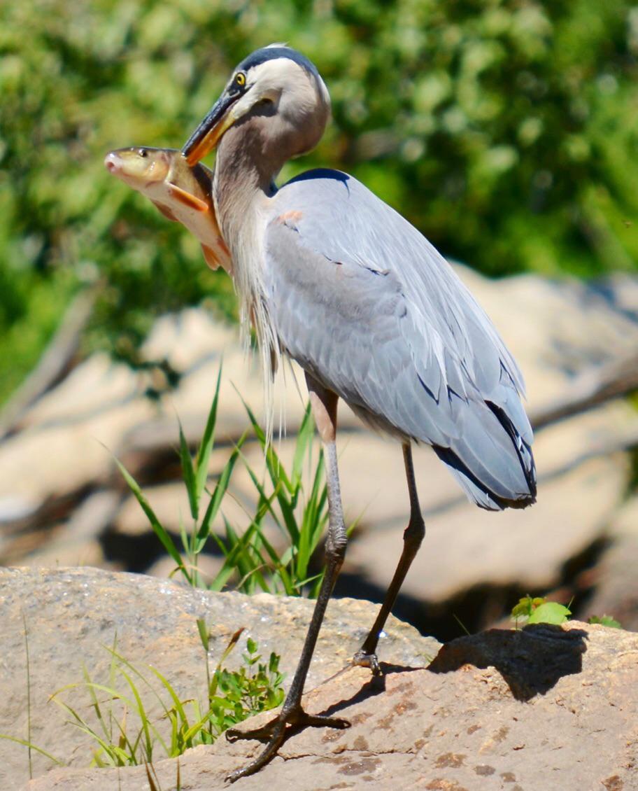 Reddit Dive into anything