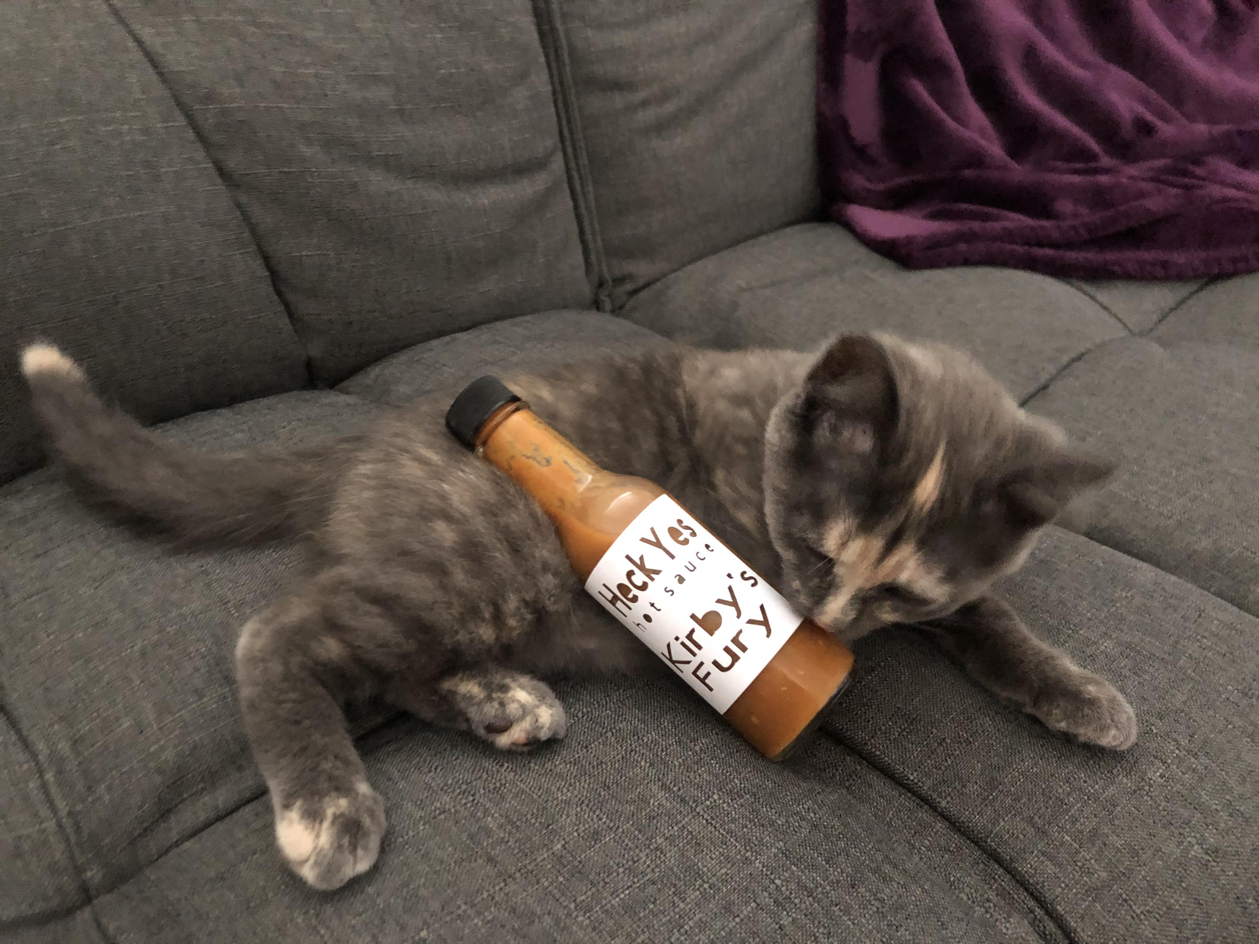 Heck Yes Hot Sauce made a custom bottles dedicated to my tiny kitten! 🌶