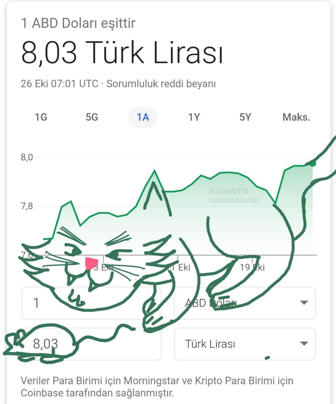 401 best Kedi images on Pholder KGBTR, Turkish Cats and Turkey