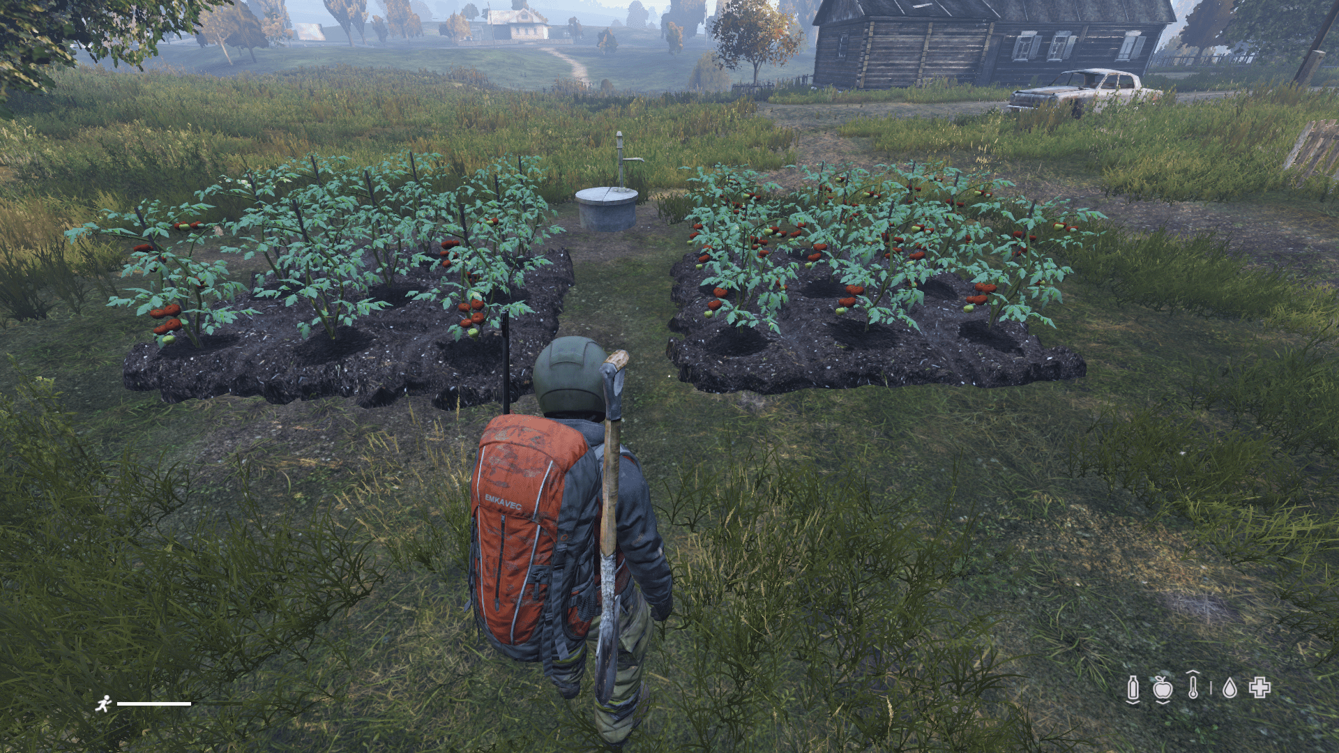 Started planting vege plots near wells along the coast for bambies. It