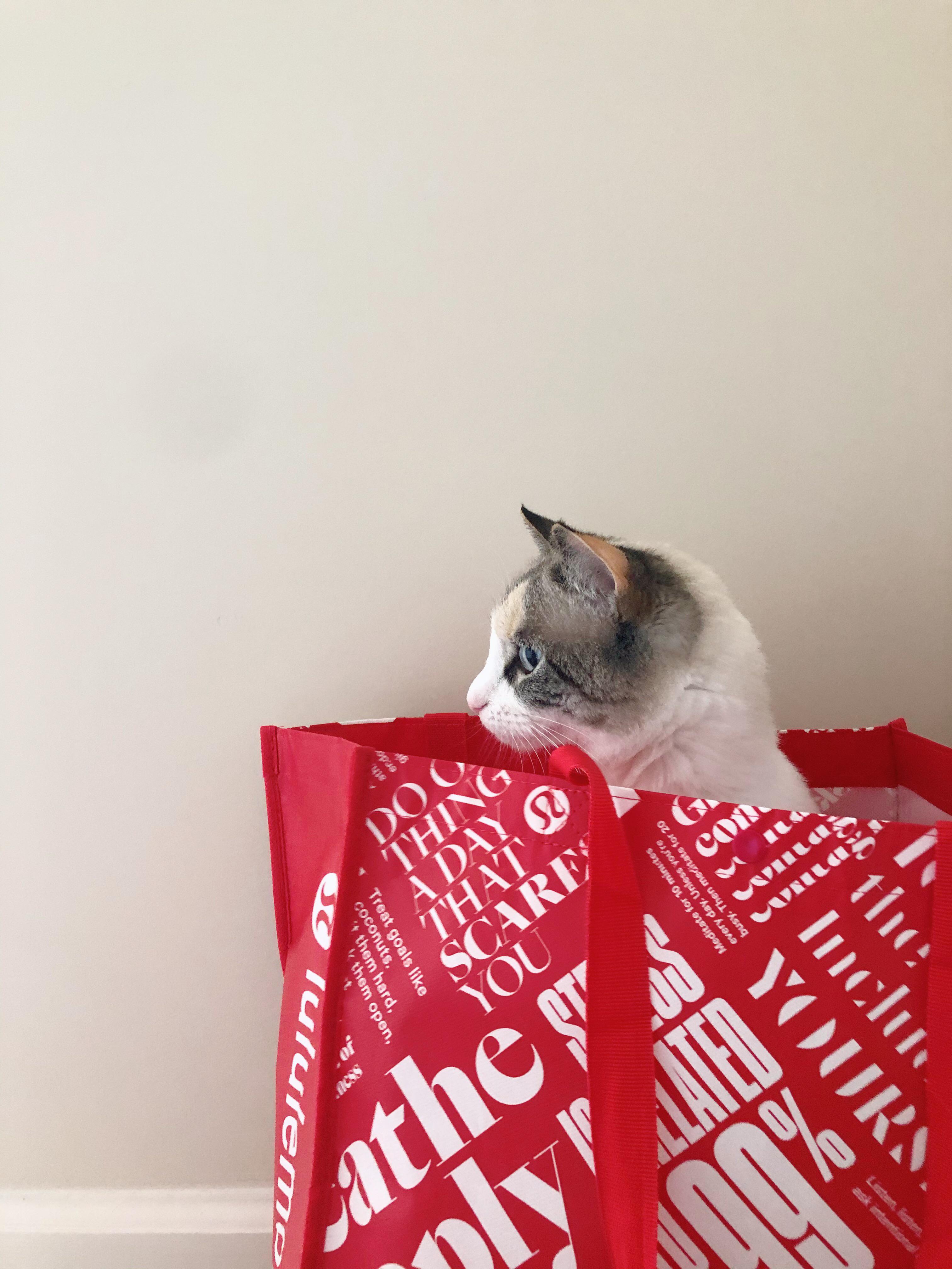 Lululemon Cathletica r/lululemon