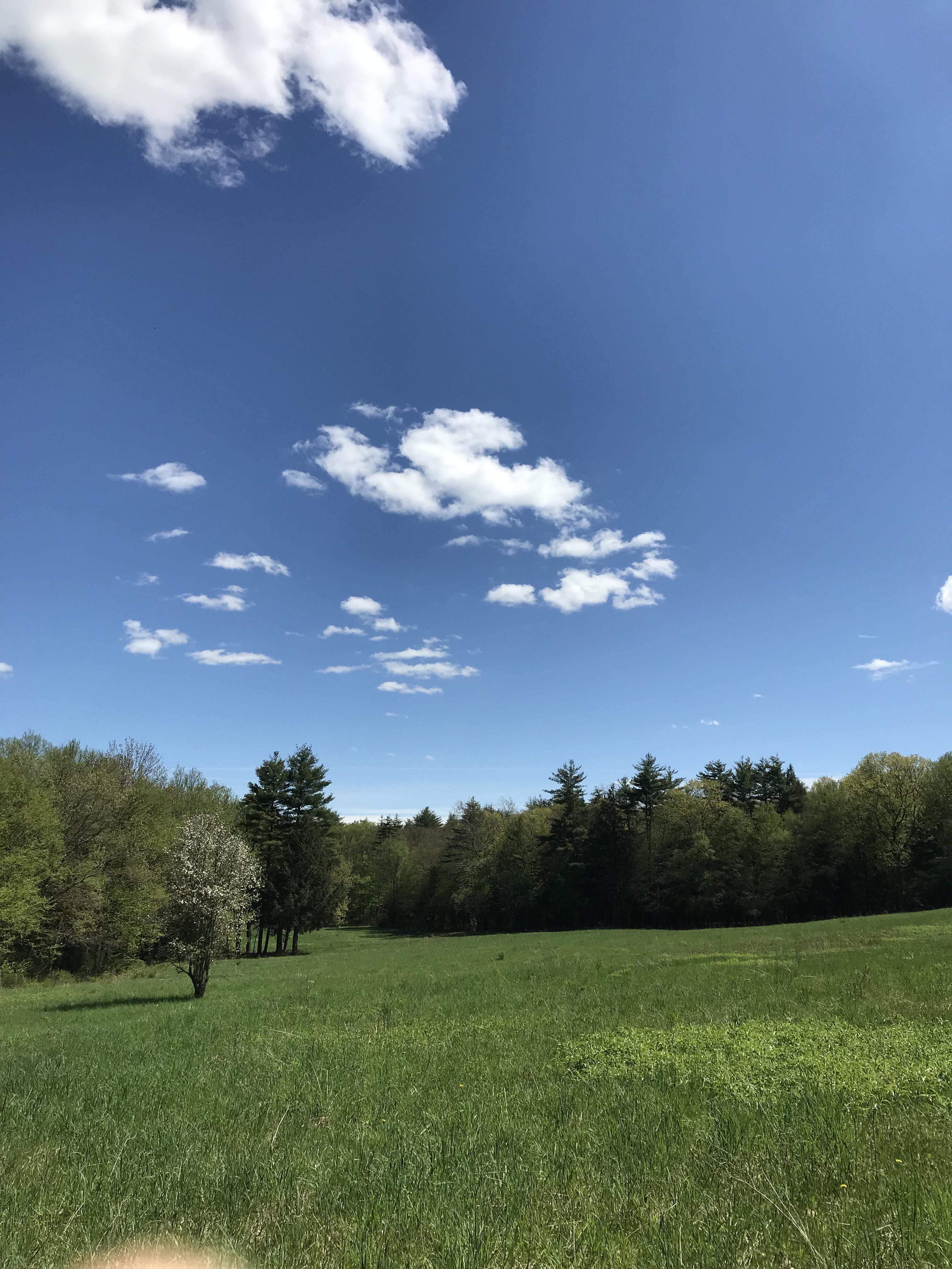 Putney, Vermont r/naturepics