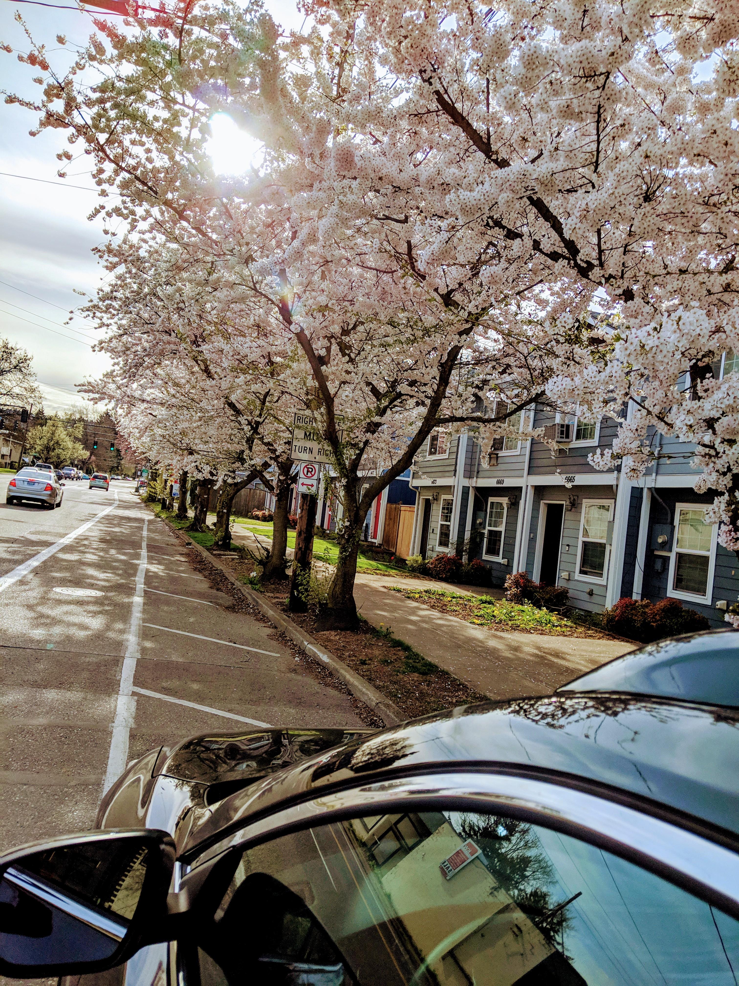 Getting into my Car in St Johns r/Portland