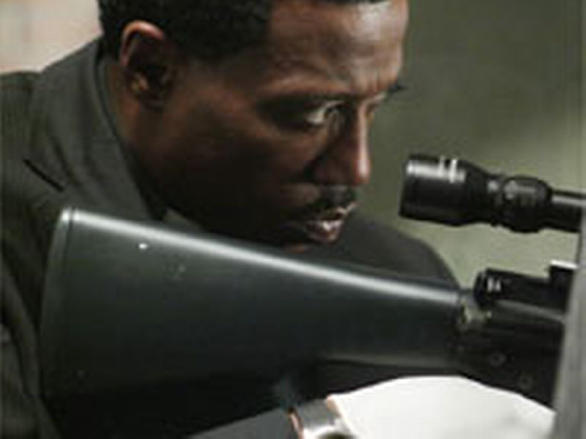 In The 2002 StraightToDVD Film "Liberty Stands Still", Wesley Snipes